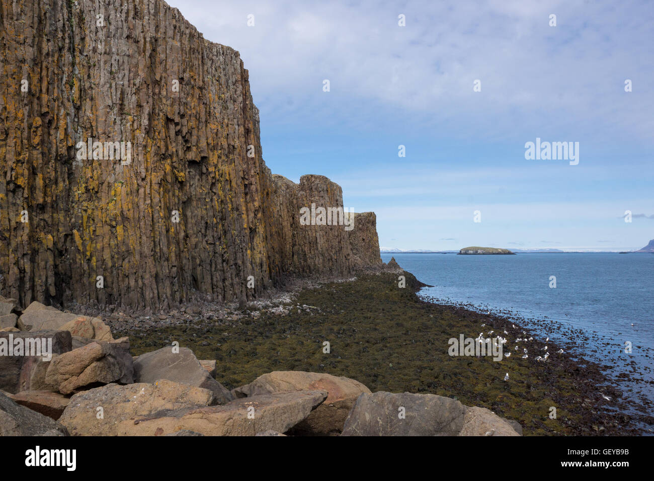 Basalt säulenförmigen Felsformation an Küste, Stykkisholmur, Island Stockfoto