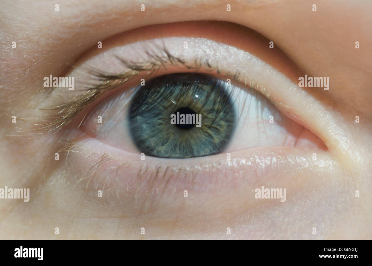 Nahaufnahme von Teenager-Mädchen Hasel farbige Auge Stockfoto
