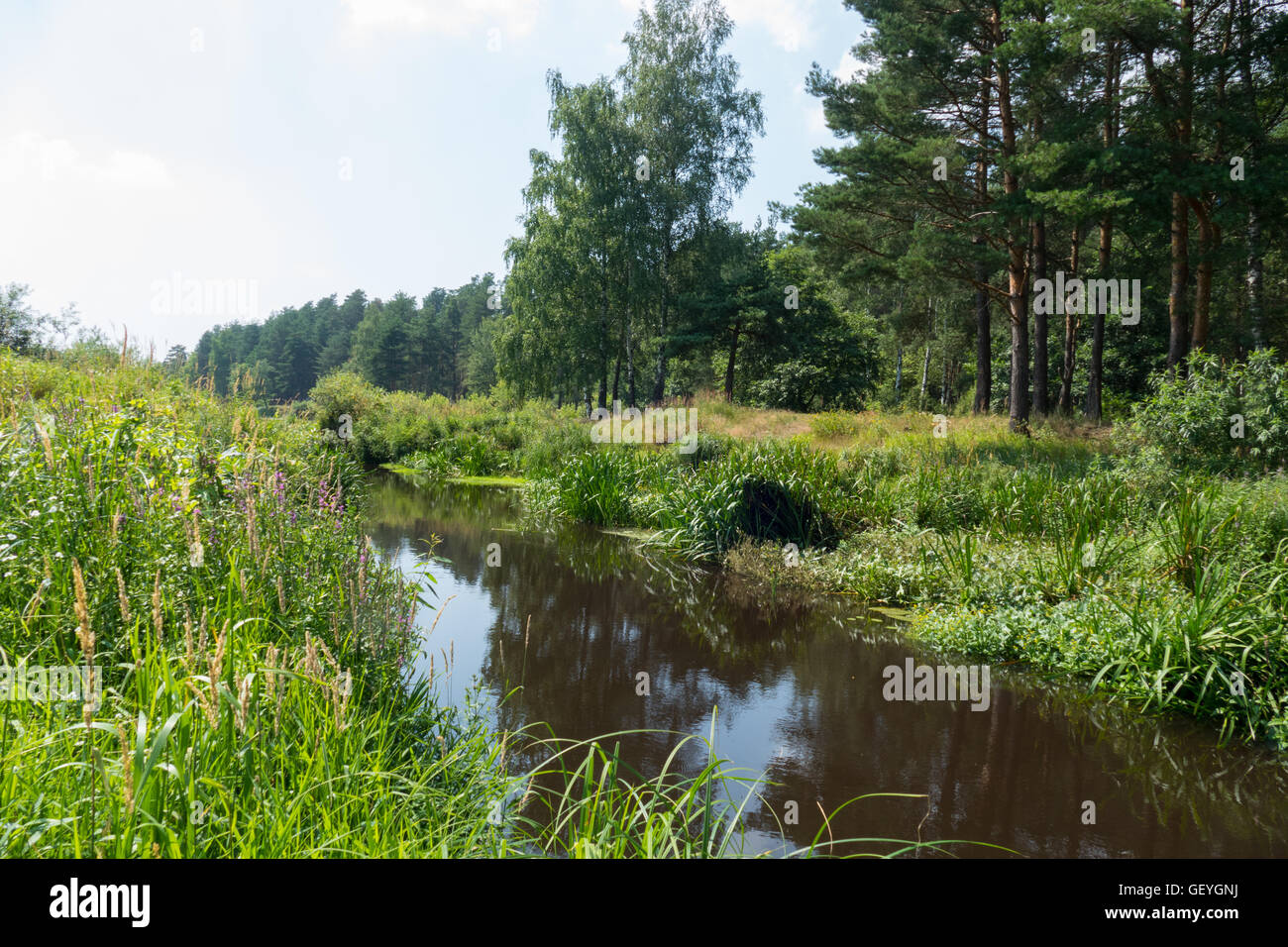 Russian River Nerskaya Stockfoto