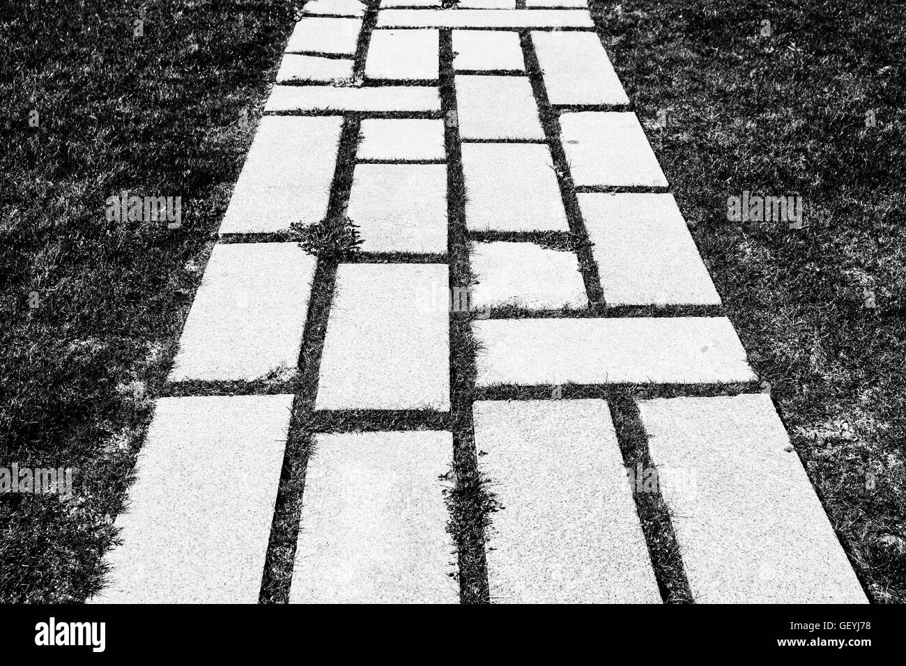 High Angle View Of Pflastersteine auf Gehweg auf Wiese Stockfoto