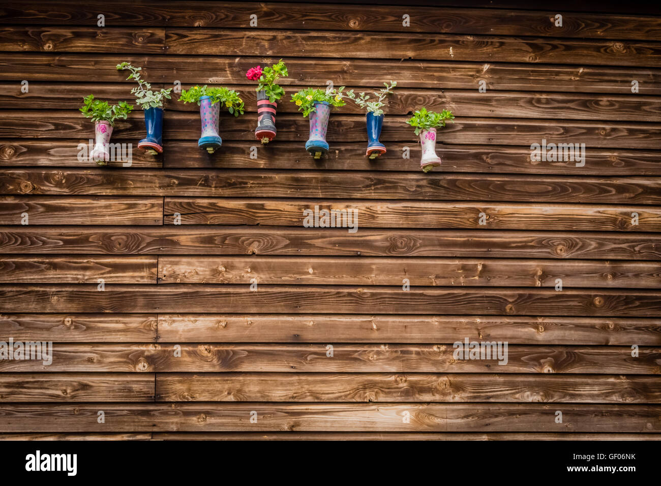 Blumenpracht in Kinder Gummistiefel erhängt an einer Wand der Scheune auf dem Bauernhof Stockfoto