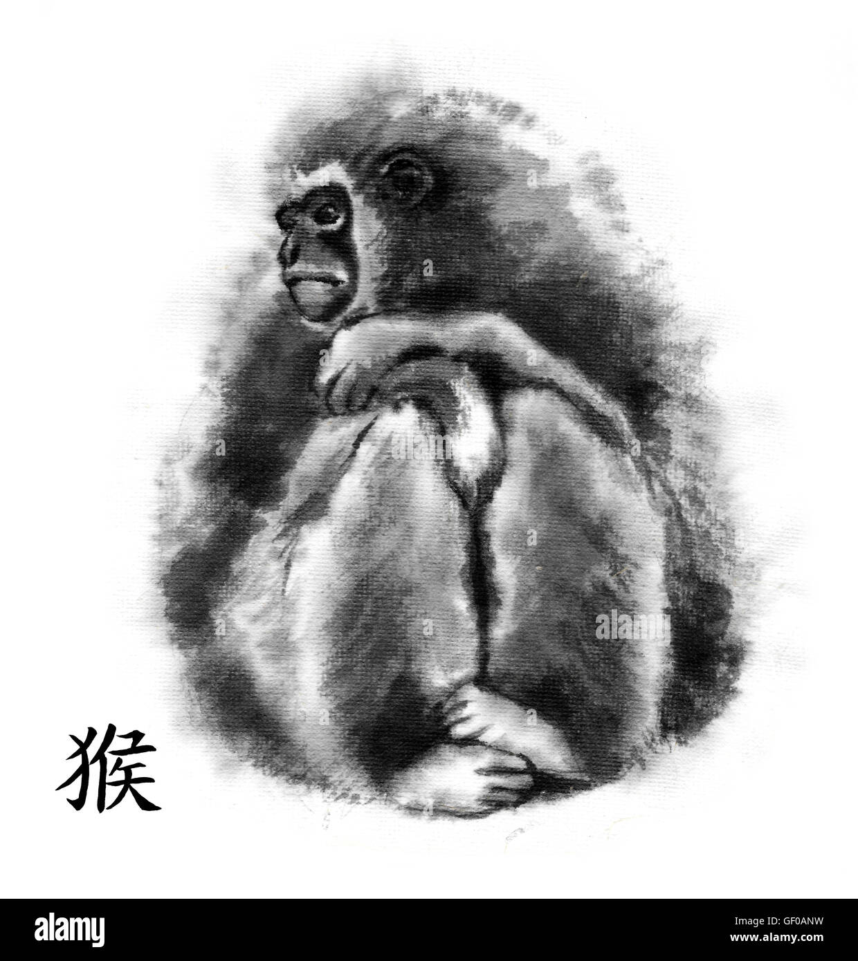 Affe orientalische Tuschemalerei mit chinesischen Schriftzeichen "Affen". Sitzen Gibbon. Isoliert auf weißem Hintergrund. Stockfoto