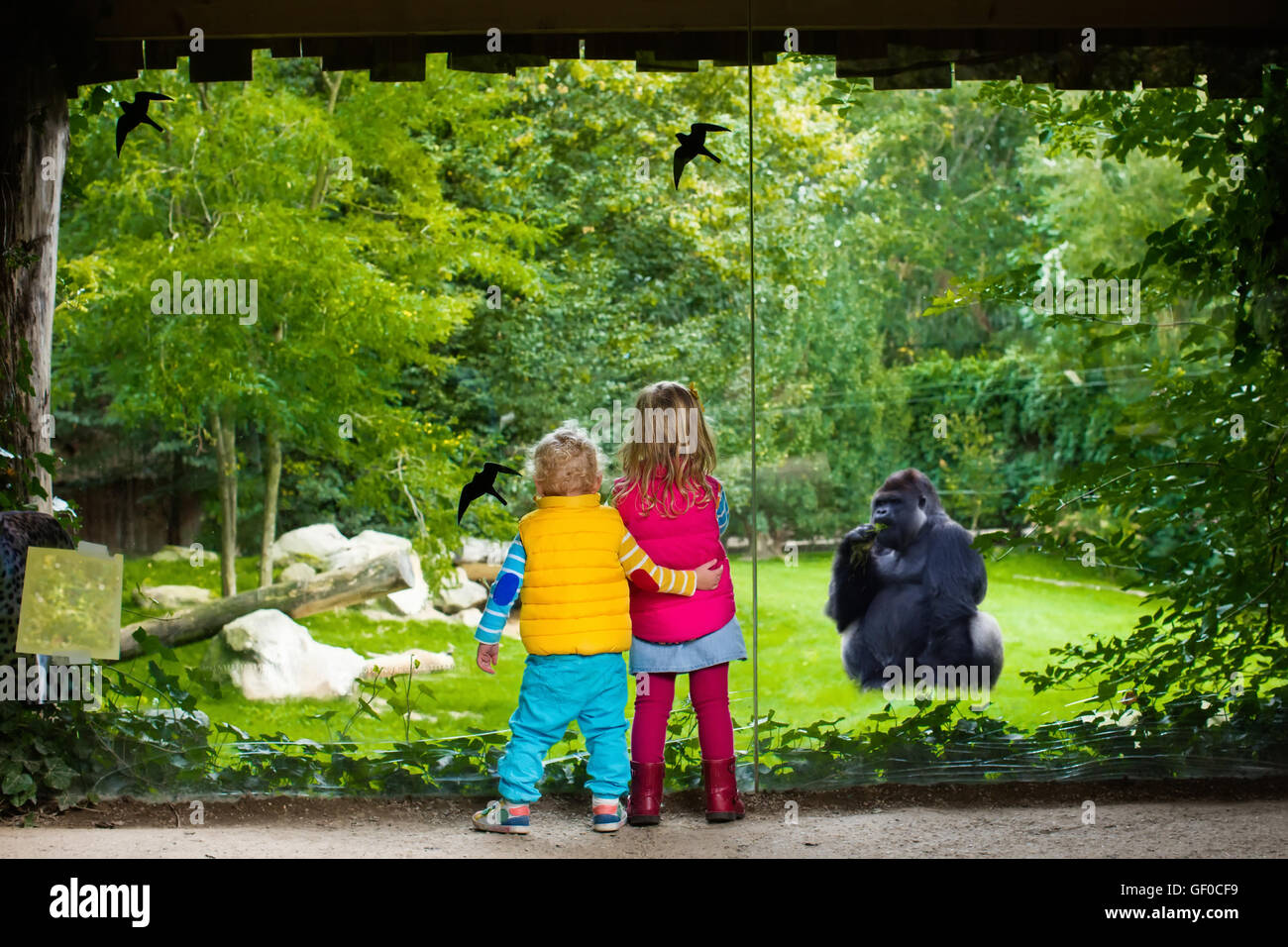 Zwei kleine Kinder, jungen und Mädchen, Uhr Affe Show im Zoo an einem ...