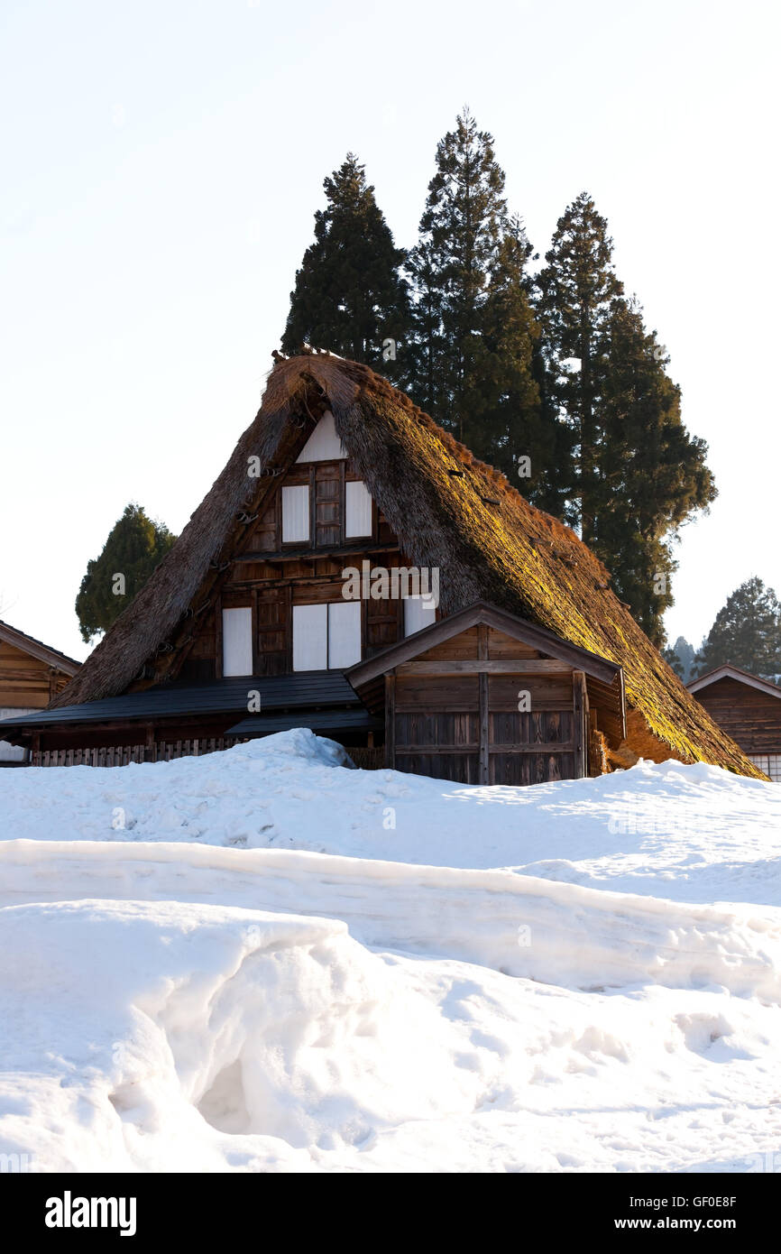 Reetdachhaus im Winter, Shirakawago, Japan Stockfoto