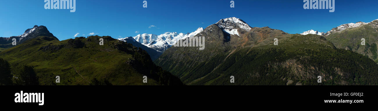 Panorama: Bernina Berge Kette mit Piz Palü (l), Bellavista, Piz Bernina und Piz Zupo, Corvatsch, gesehen von Languard Stockfoto