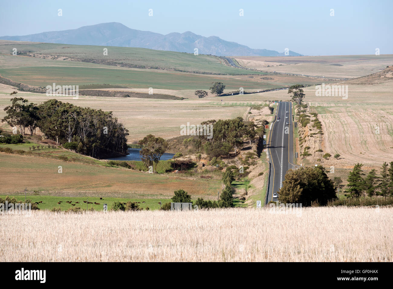 N2 Autobahn WESTERN CAPE Südafrika die N2 Autobahn vorbei durch das Wheatlands Gebiet in der Nähe von Caledon Südliches Afrika Stockfoto