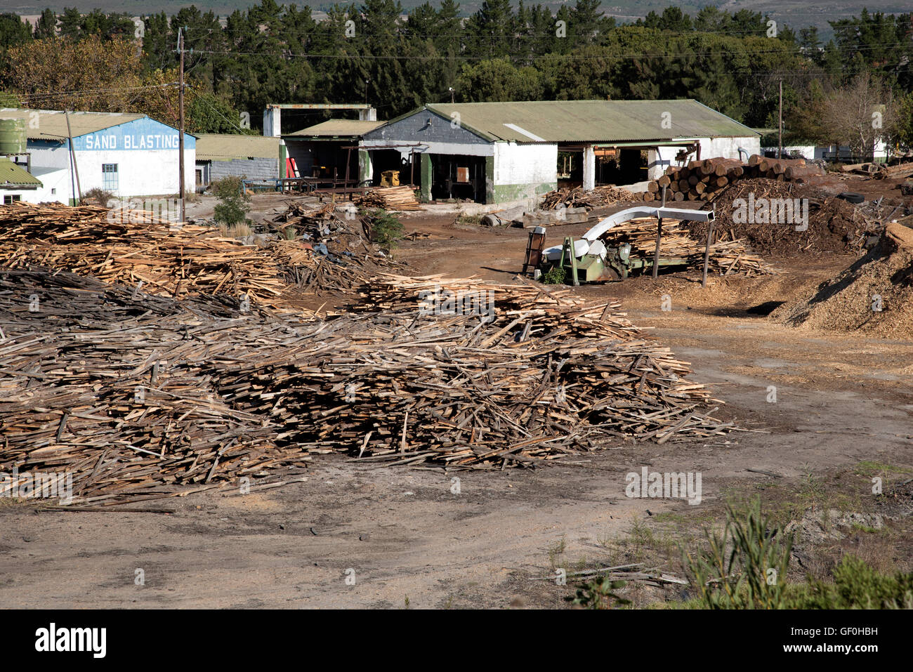 ELGIN WESTERN CAPE Südafrika einen Überblick über die Funktionsweise der Holzplatz in der Nähe von Elgin Stockfoto