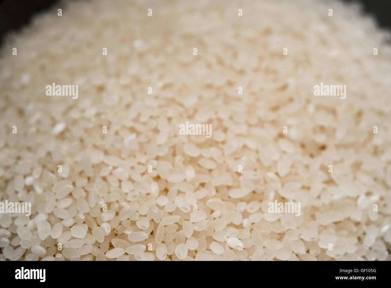 Makro-Shooting von Reis Stockfoto