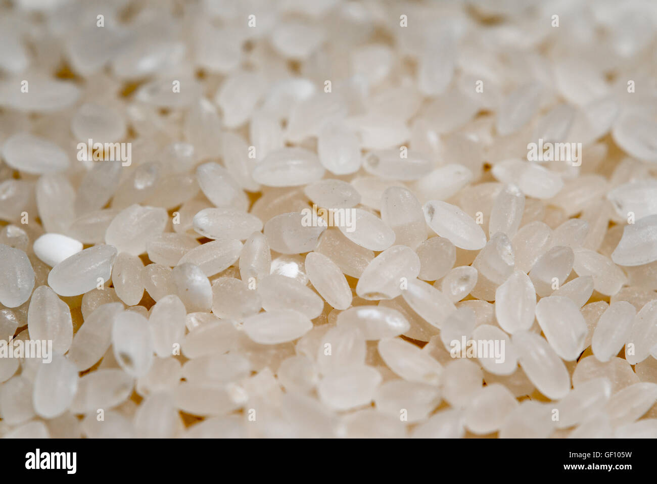 Makro-Shooting von Reis Stockfoto