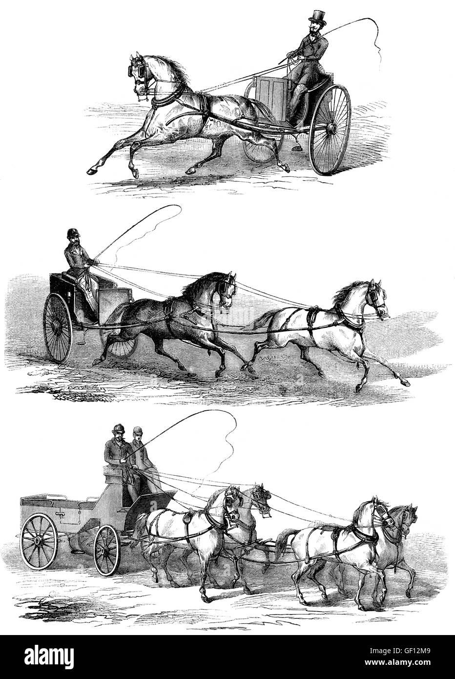 Methoden der Führung Pferde durch Ziehen an den Zügeln Stockfoto