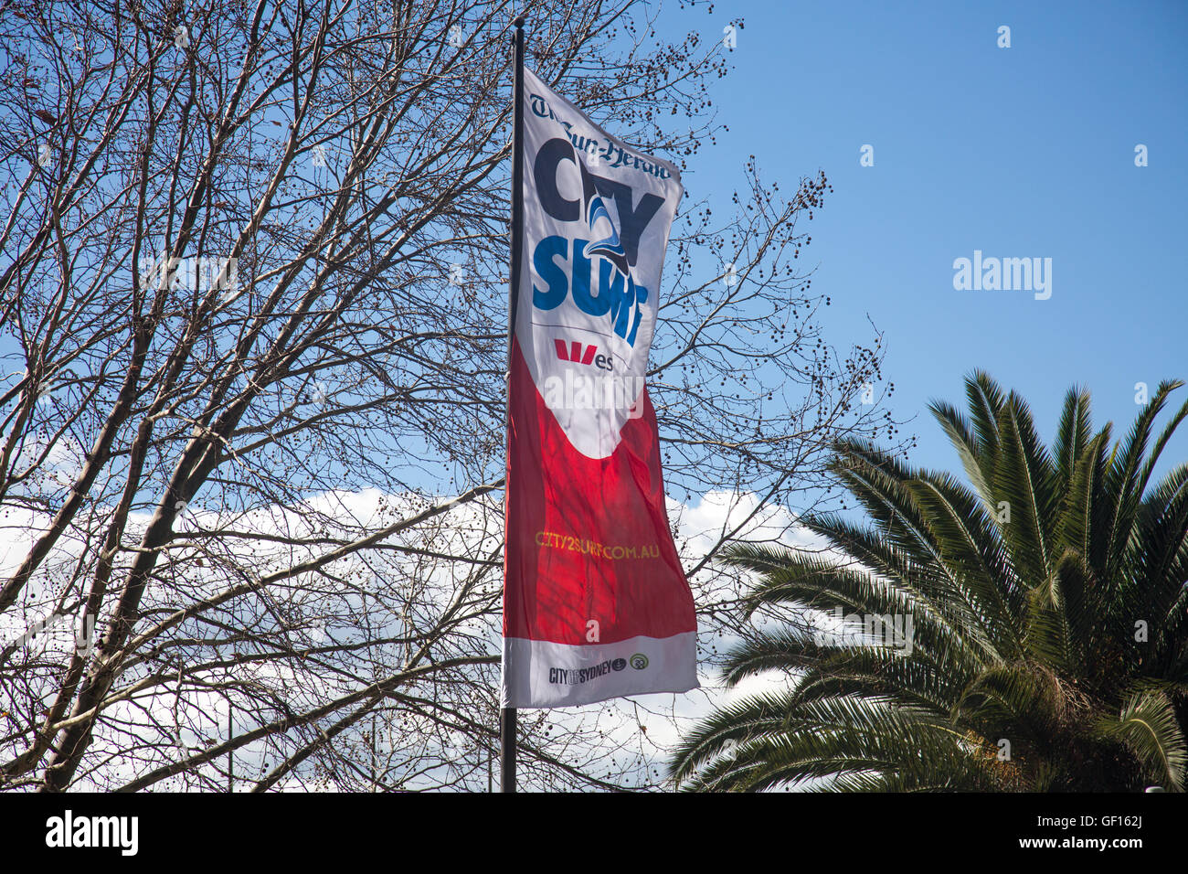 Banner in Macquarie Street Sydney Förderung die jährlichen (gehalten im August) Stadt, Surf-Spaß-Rennen in Sydney, Australien Stockfoto