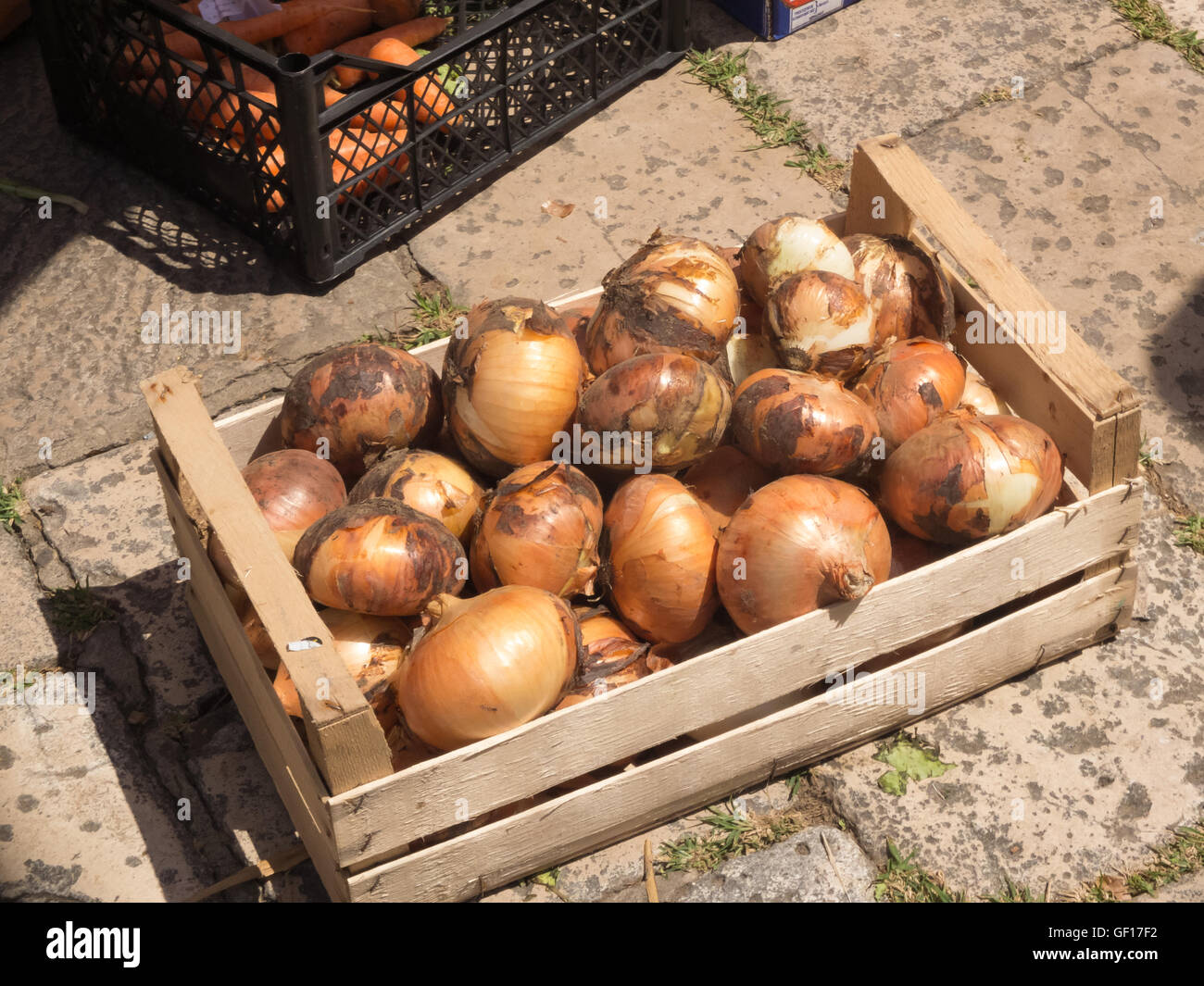 Zwiebeln in Holzkiste Stockfoto