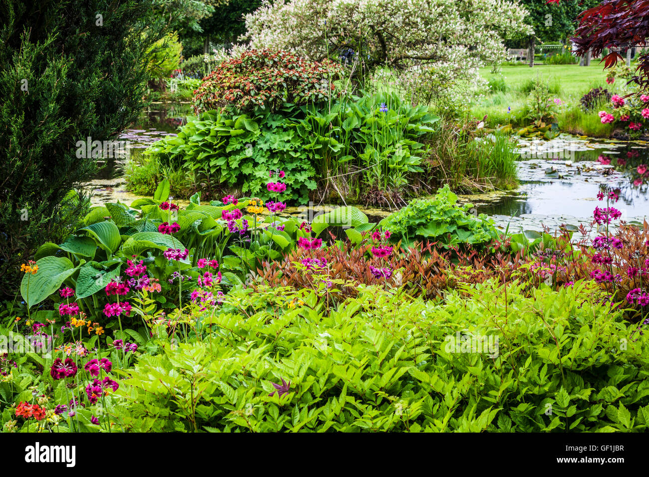 Zierteich in einem englischen Landhaus-Garten im Sommer. Stockfoto