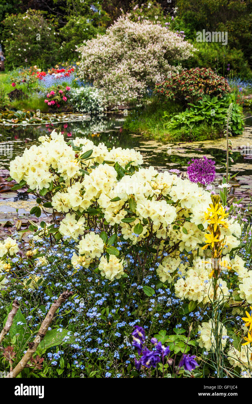 Zierteich in einem englischen Landhaus-Garten im Sommer. Stockfoto