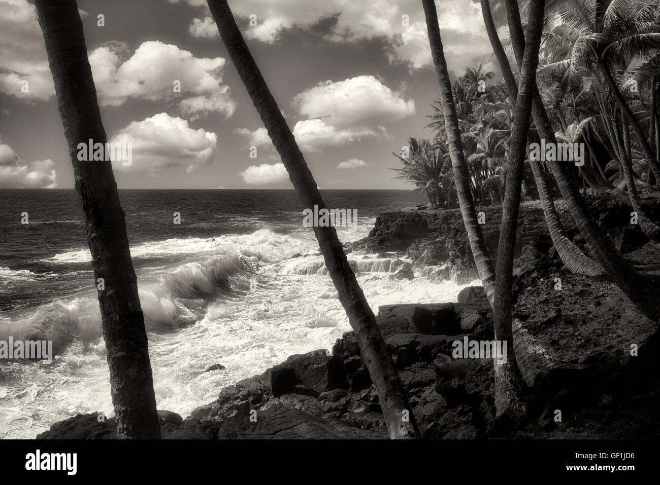 Küste und Wellen im Bereich Puna. Hawaiis Big Island Stockfoto