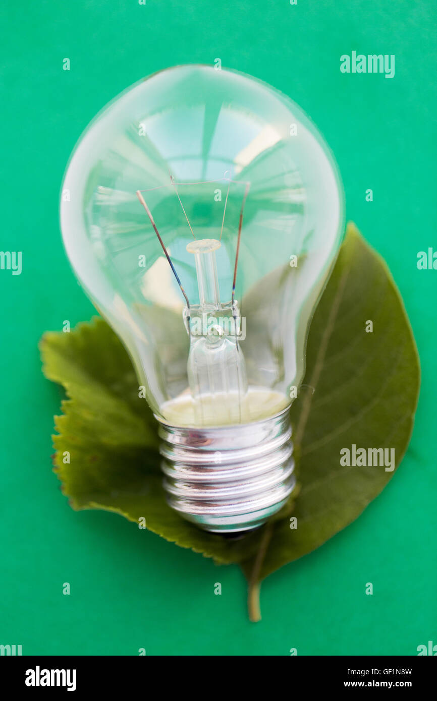 Nahaufnahme der Glühbirne oder Glühlampe auf grün Stockfoto