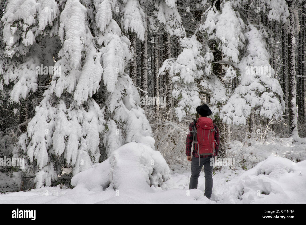 Wanderer mit Rucksack im Schnee bedeckt Wald. Oregon Cascades Stockfoto