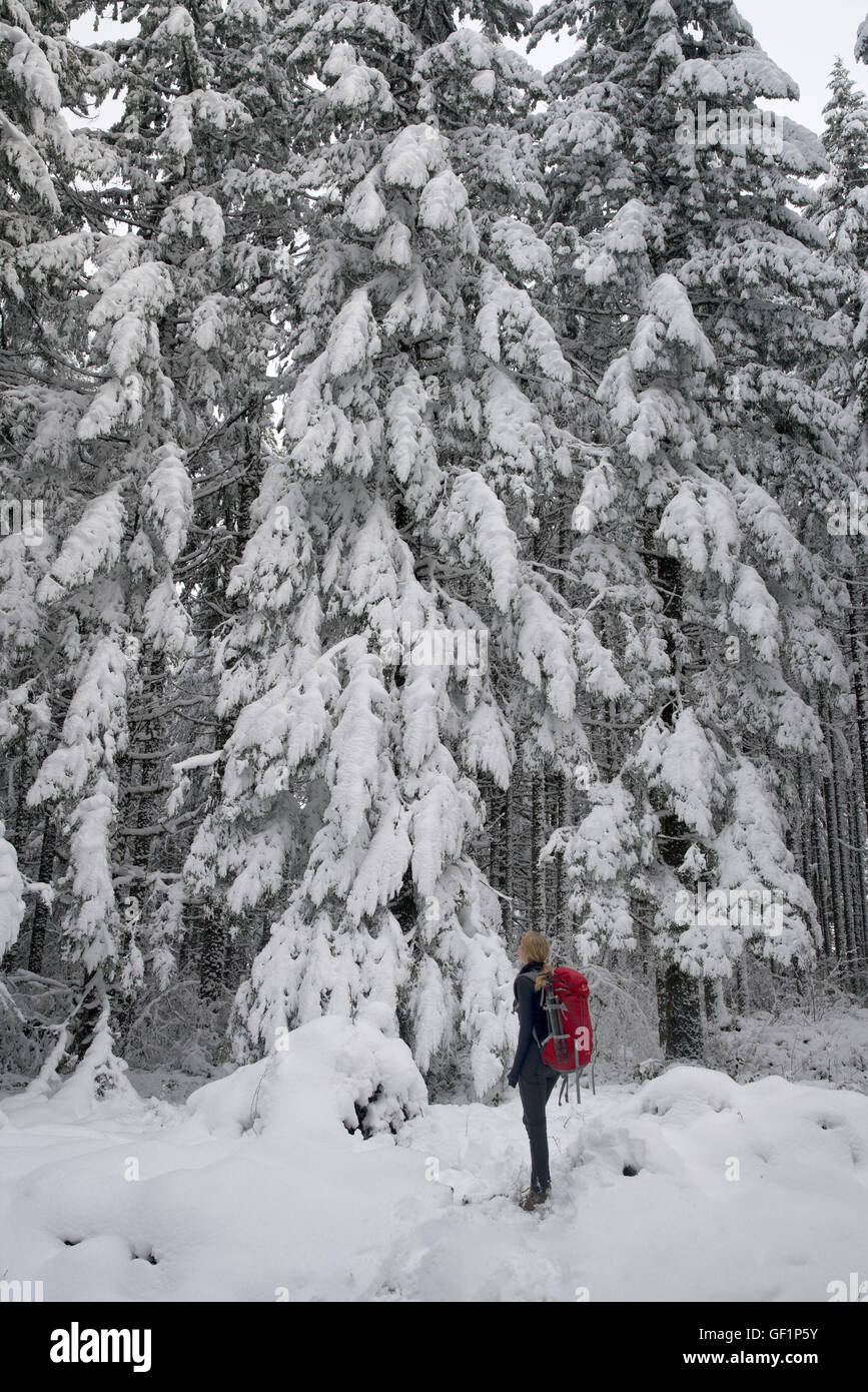 Wanderer mit Rucksack im Schnee bedeckt Wald. Oregon Cascades Stockfoto