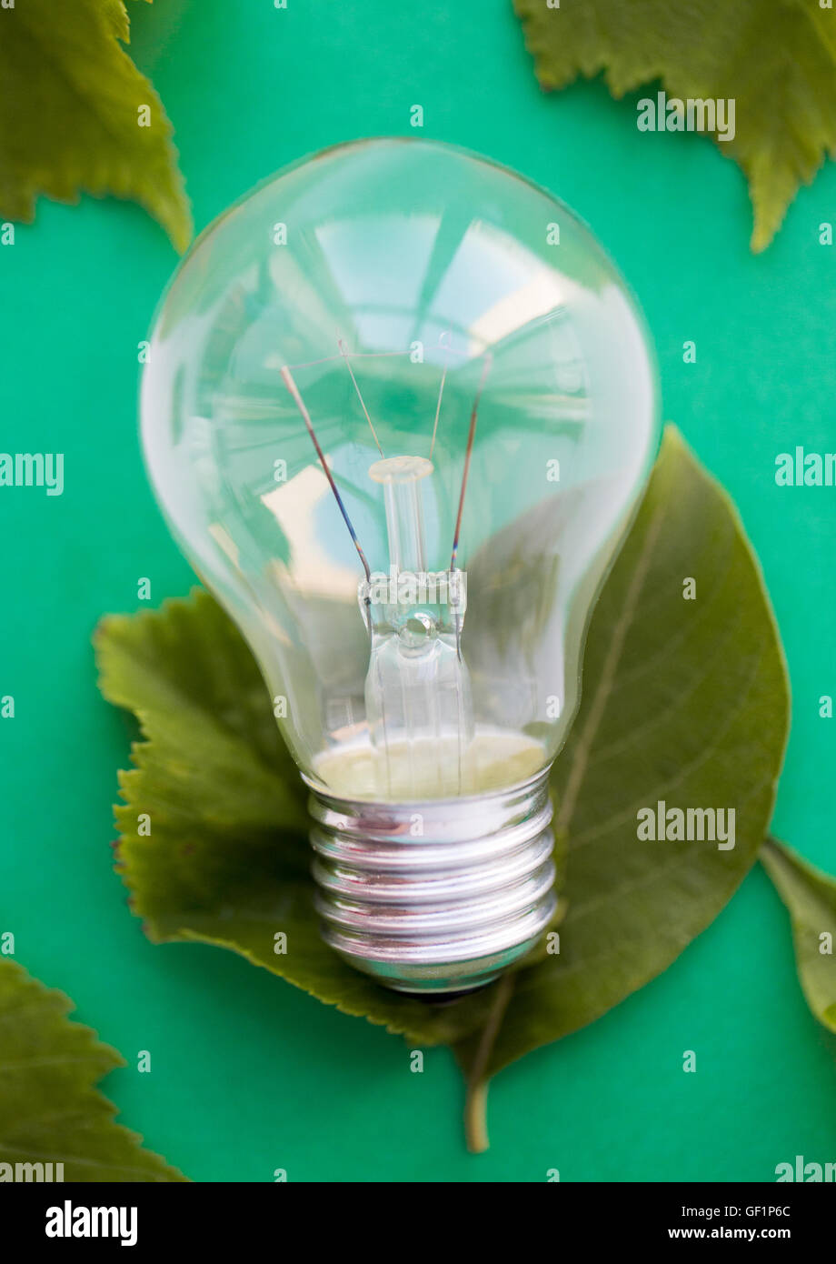 Nahaufnahme der Glühbirne oder Glühlampe auf grün Stockfoto