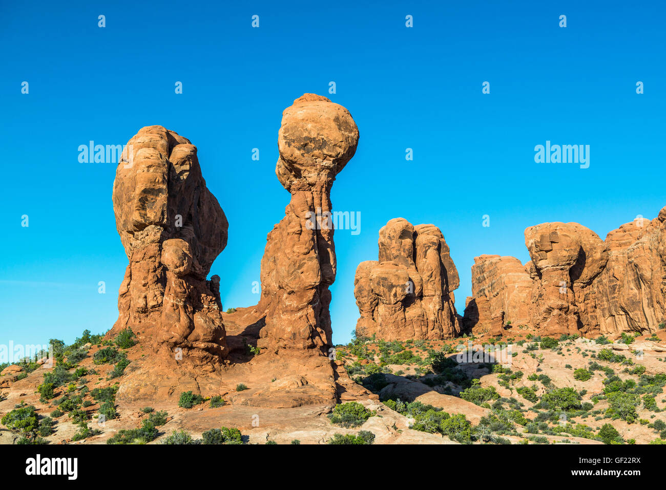 Garten Eden, Arches-Nationalpark, Utah, USA Stockfoto
