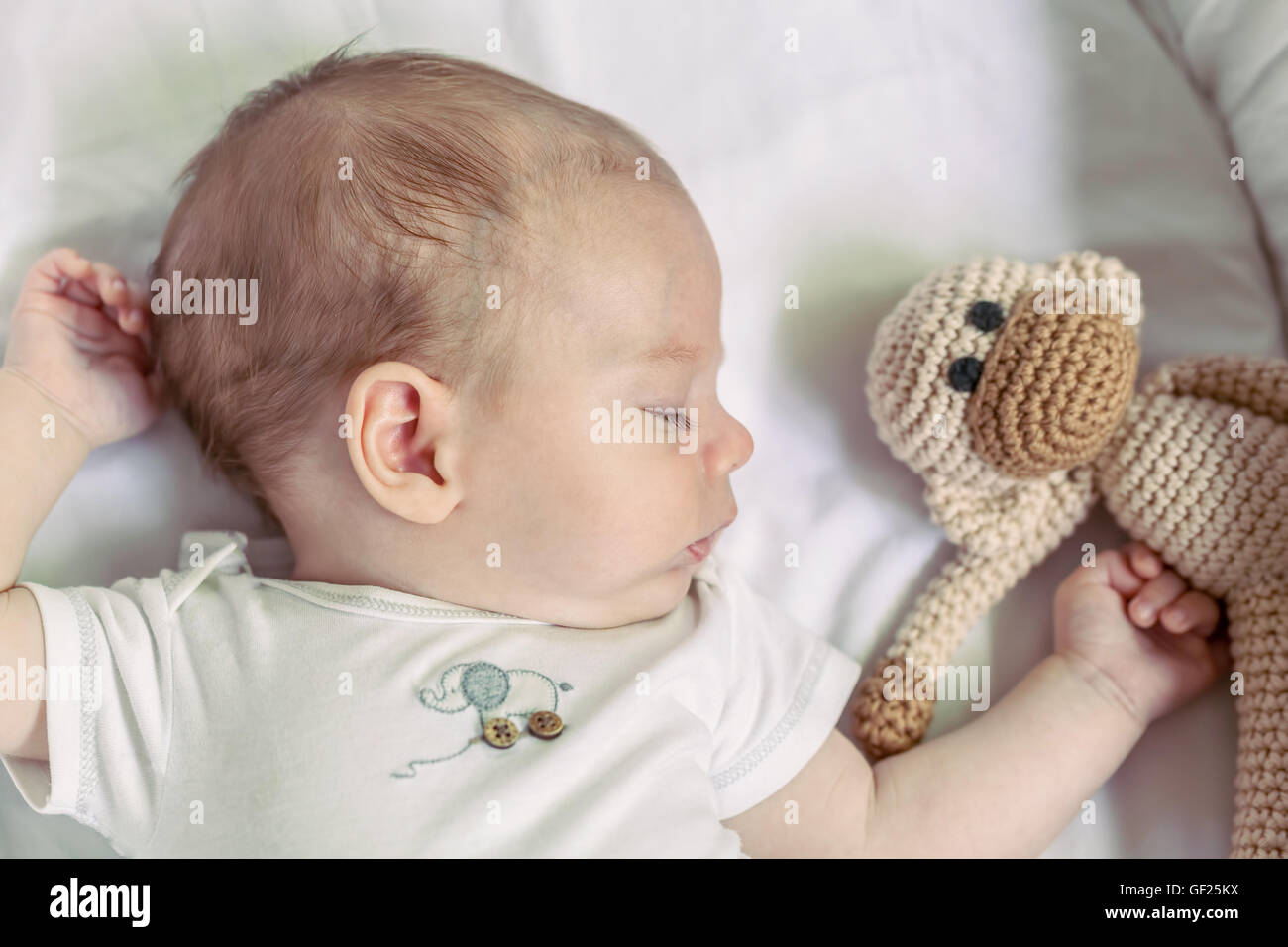 Nahaufnahme von niedlichen 4-monatige neugeborenen Jungen schlafen mit seinem Spielzeug Affe Stockfoto