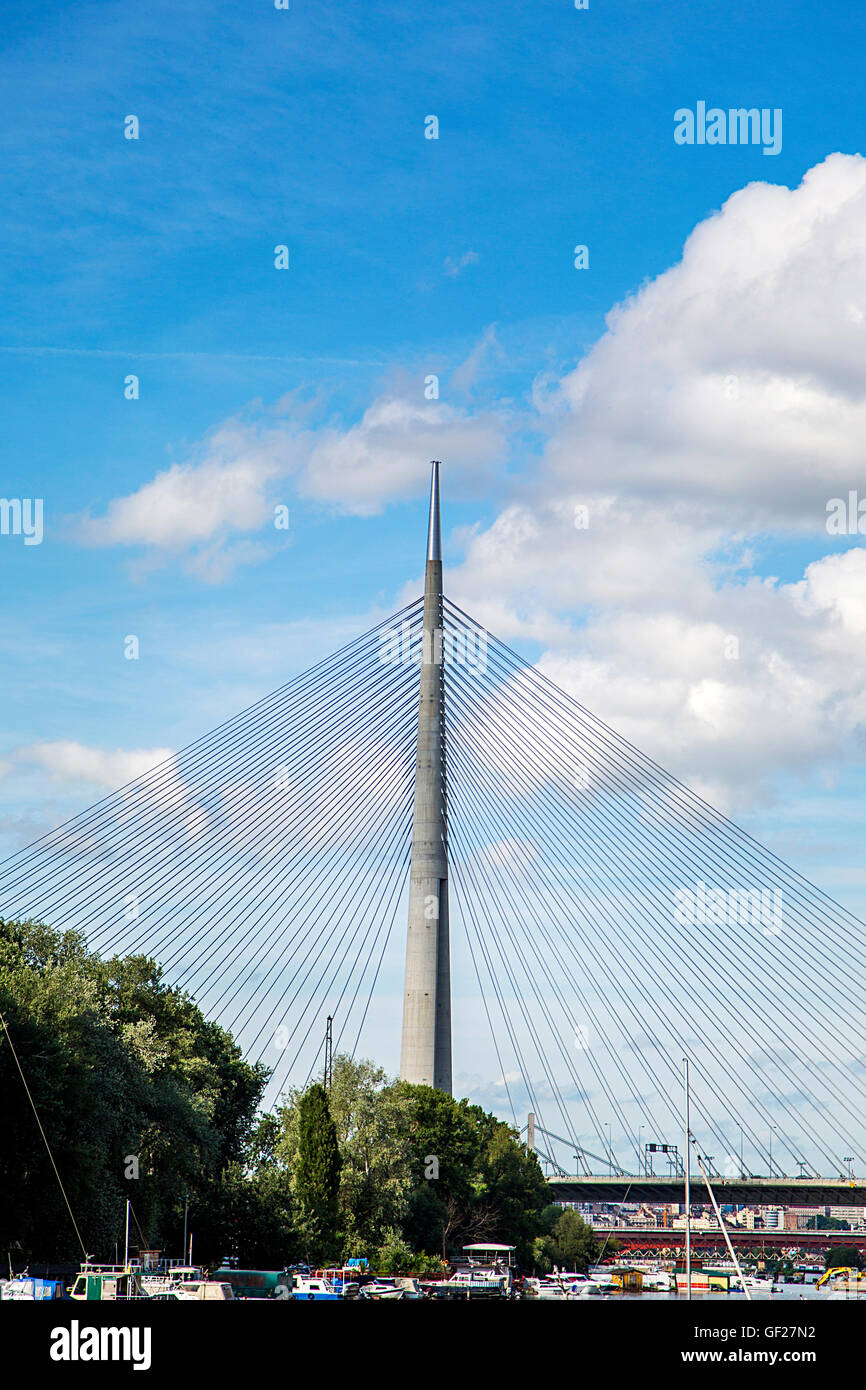 Blick auf Brücke am Fluss Sava in Belgrad, Serbien Stockfoto