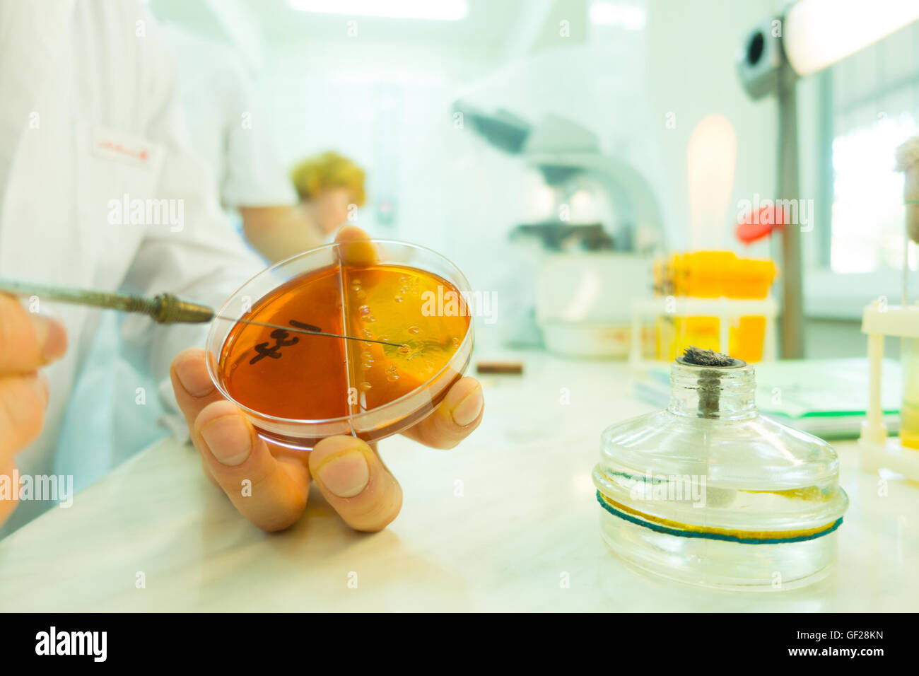 Inoculation loop -Fotos und -Bildmaterial in hoher Auflösung – Alamy