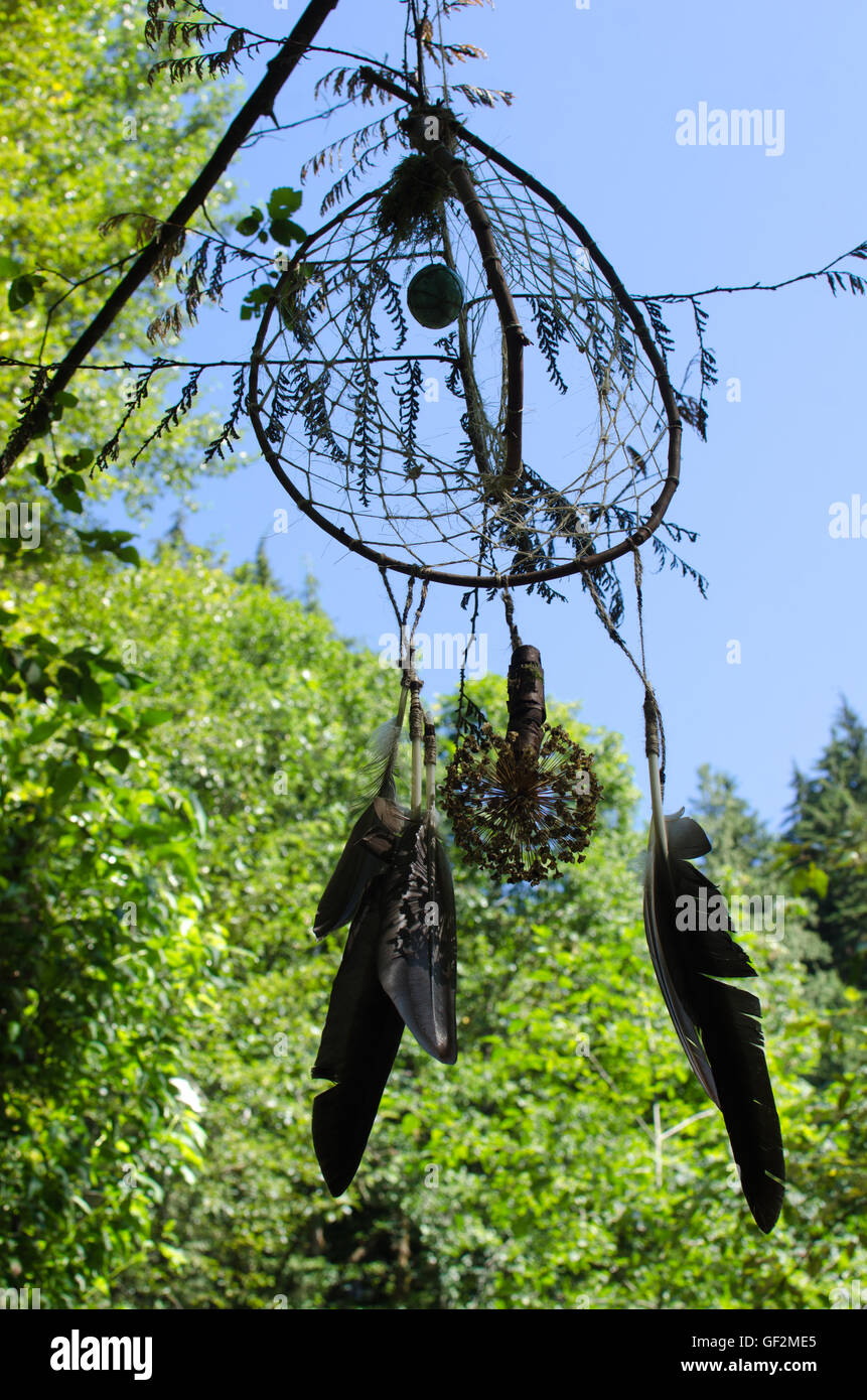 Eine indianische Dreamcatcher hängt im Wald. Stockfoto