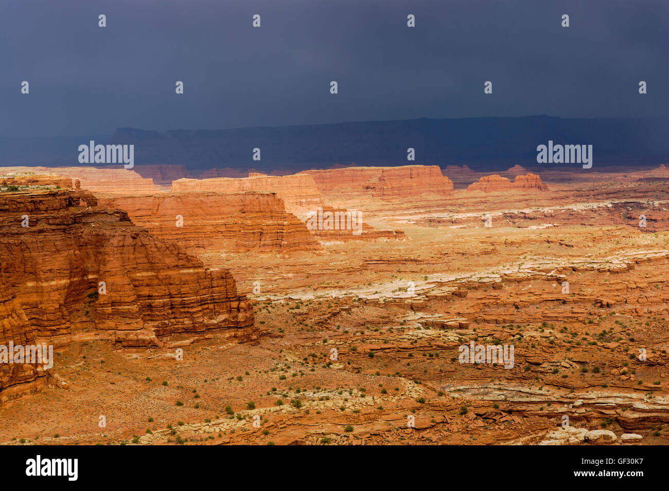 Dramatischen Sturm Himmel, weiße knacken Camp, White Rim Trail, Canyonlands National Park, Utah. Stockfoto