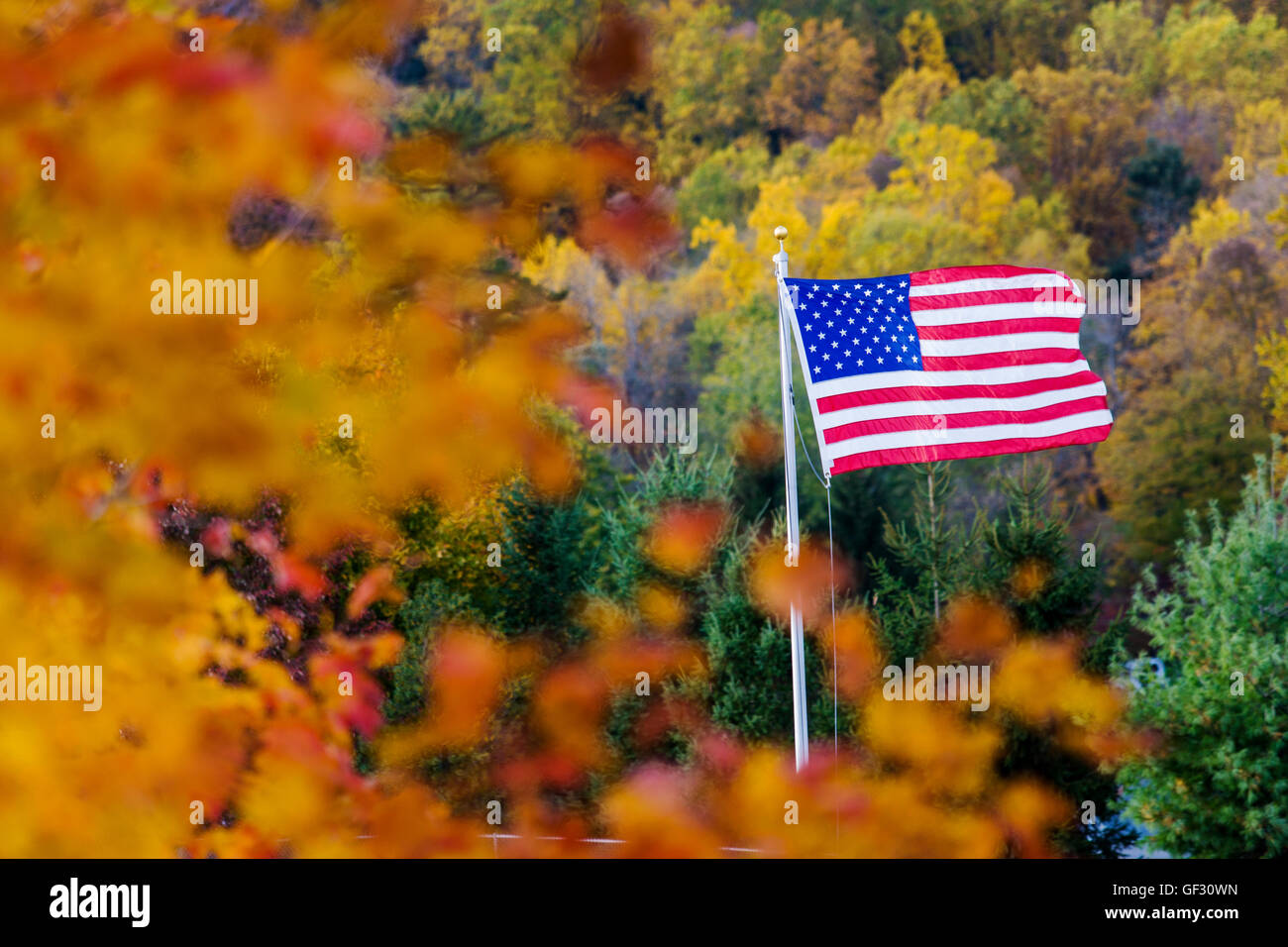 Amerikanische Flagge, Old Glory, Stars & Stripes, umgeben von Laub Herbstfarben Stockfoto