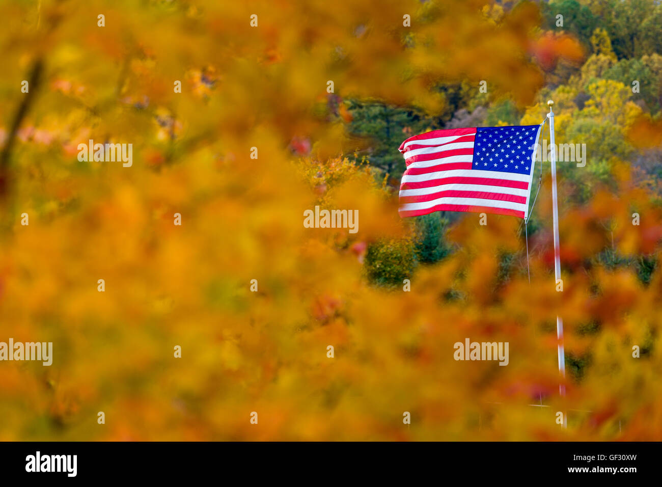 Amerikanische Flagge, Old Glory, Stars & Stripes, umgeben von Laub Herbstfarben Stockfoto