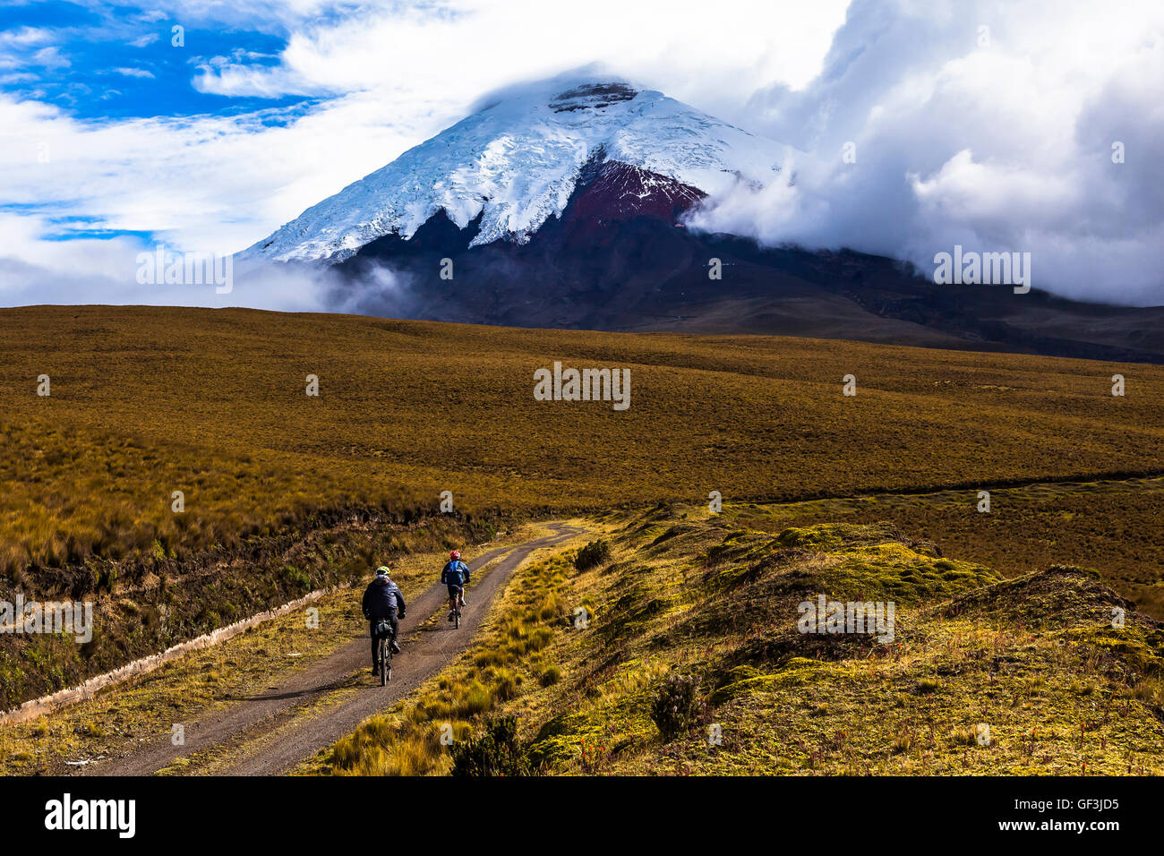 Zwei Mountainbiker fahren in den Cotopaxi Nationalpark, Ecuador. Stockfoto