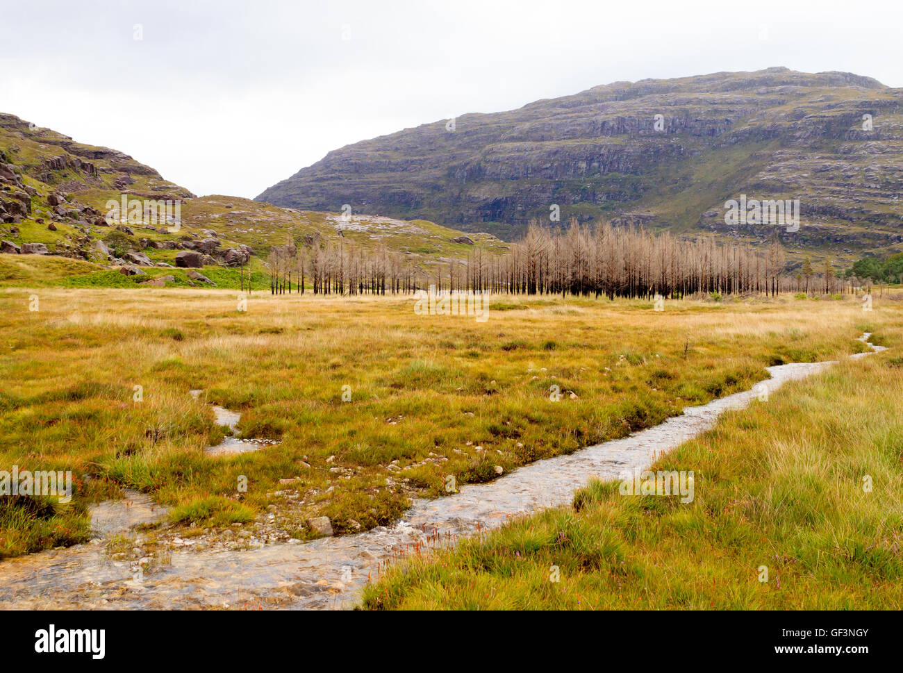 Schottischen Flusses Trog Landschaft. Blick auf den Fluss Perspektive. Schottland-panorama Stockfoto