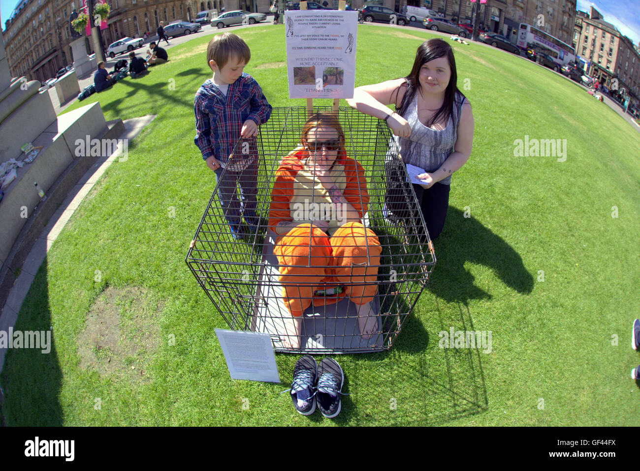 Glasgow, Scotland, UK 29. Julitag 2016.International Tiger: Tiger Tempel Protest kommt nach Glasgow als Jenna Boyce, die es für die letzten 18 Monate freiwillig einen symbolischen stillen Protest in einem kleinen Käfig erträgt. Sie ist auf die Beschlagnahme der Tiger durch das Department of Parks protestieren und Hervorhebung ist ihre Not durch die Spiegelung ihrer eingesperrt in Bereichen, die zu klein sind für ihr Wohlergehen. Ihre stillen Protest in einem Käfig in George Square angezogen ein belebter öffentlicher Bereich viel Aufmerksamkeit auf ihre Mittelbeschaffung um ihre Leiden zu lindern. Bildnachweis: Gerard Fähre/Alamy Live-Nachrichten Stockfoto