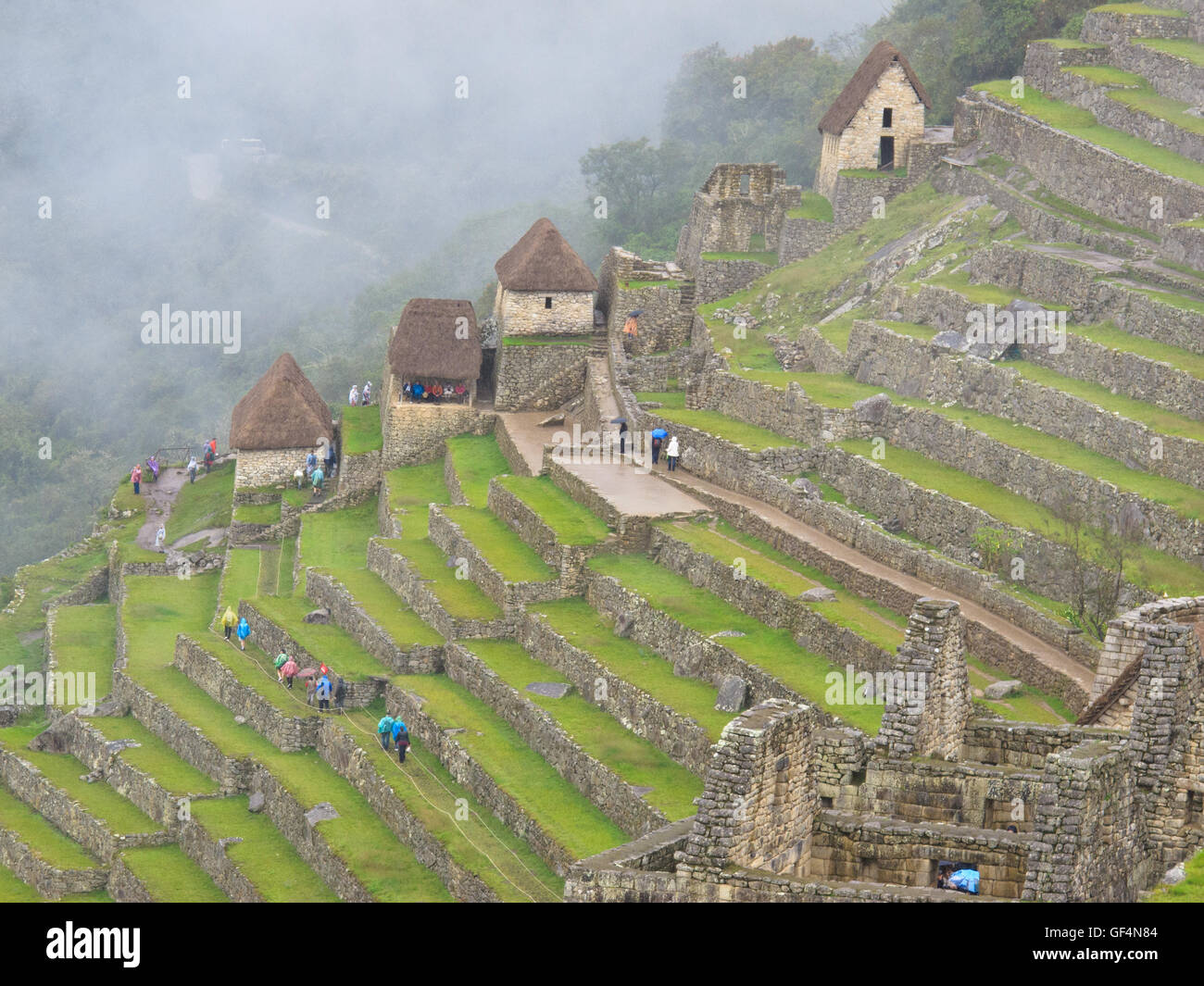 Die landwirtschaftlichen Terrassen von Machu Picchu Stockfoto