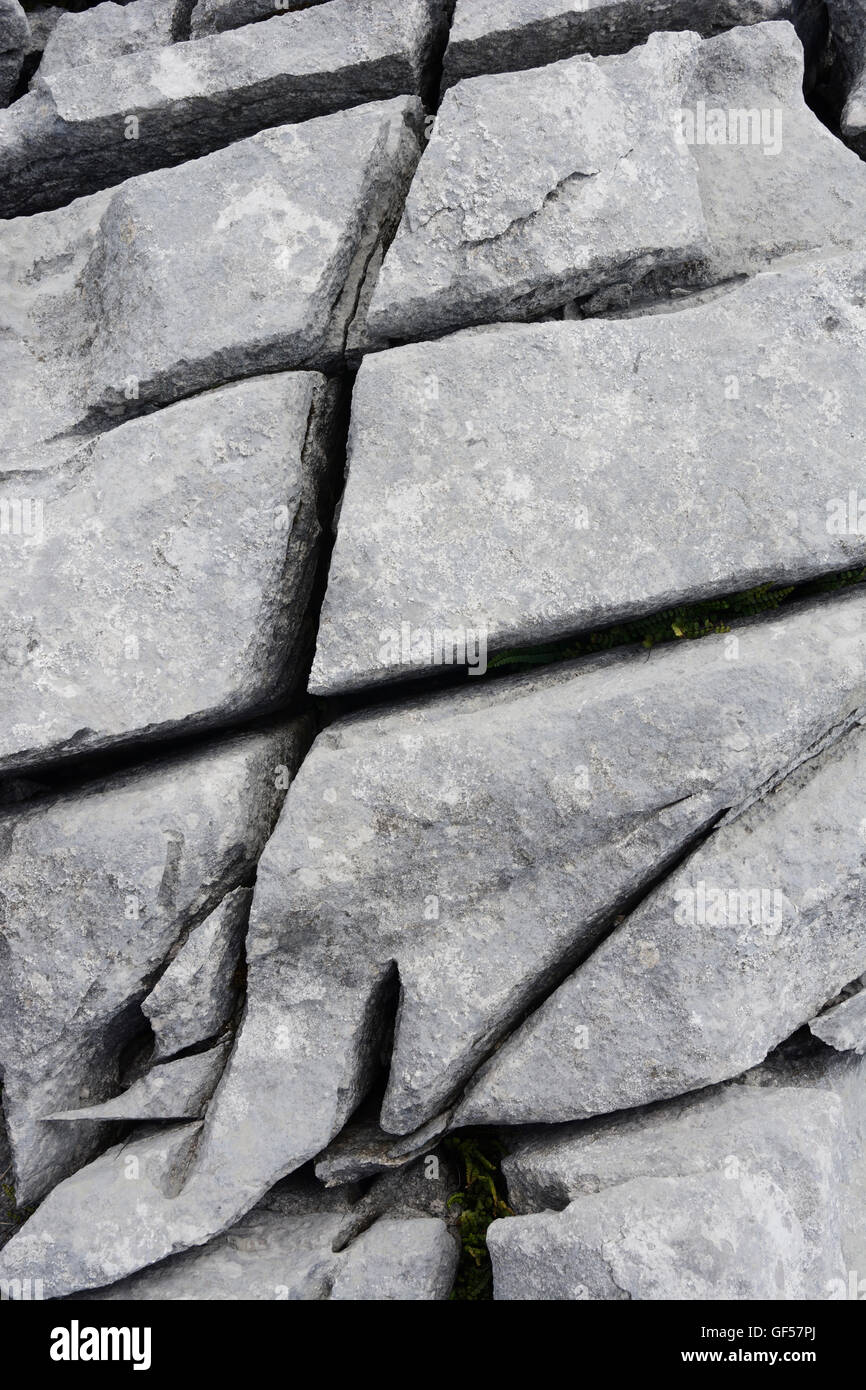 Kalkstein Pflaster in der Nähe von Ingleton, North Yorkshire National Park. Stockfoto