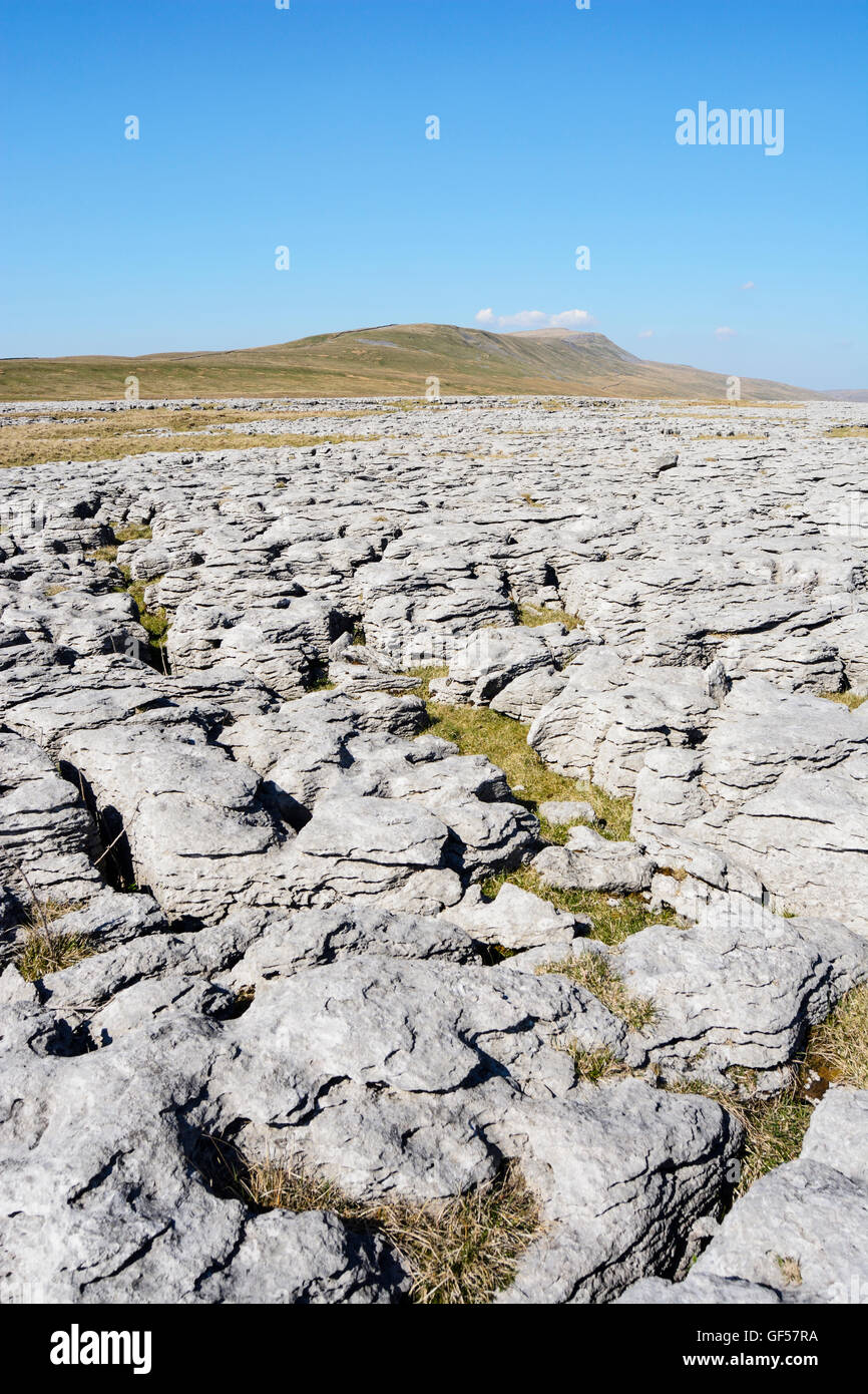 Kalkstein Pflaster in der Nähe von Ingleton, North Yorkshire National Park. Stockfoto