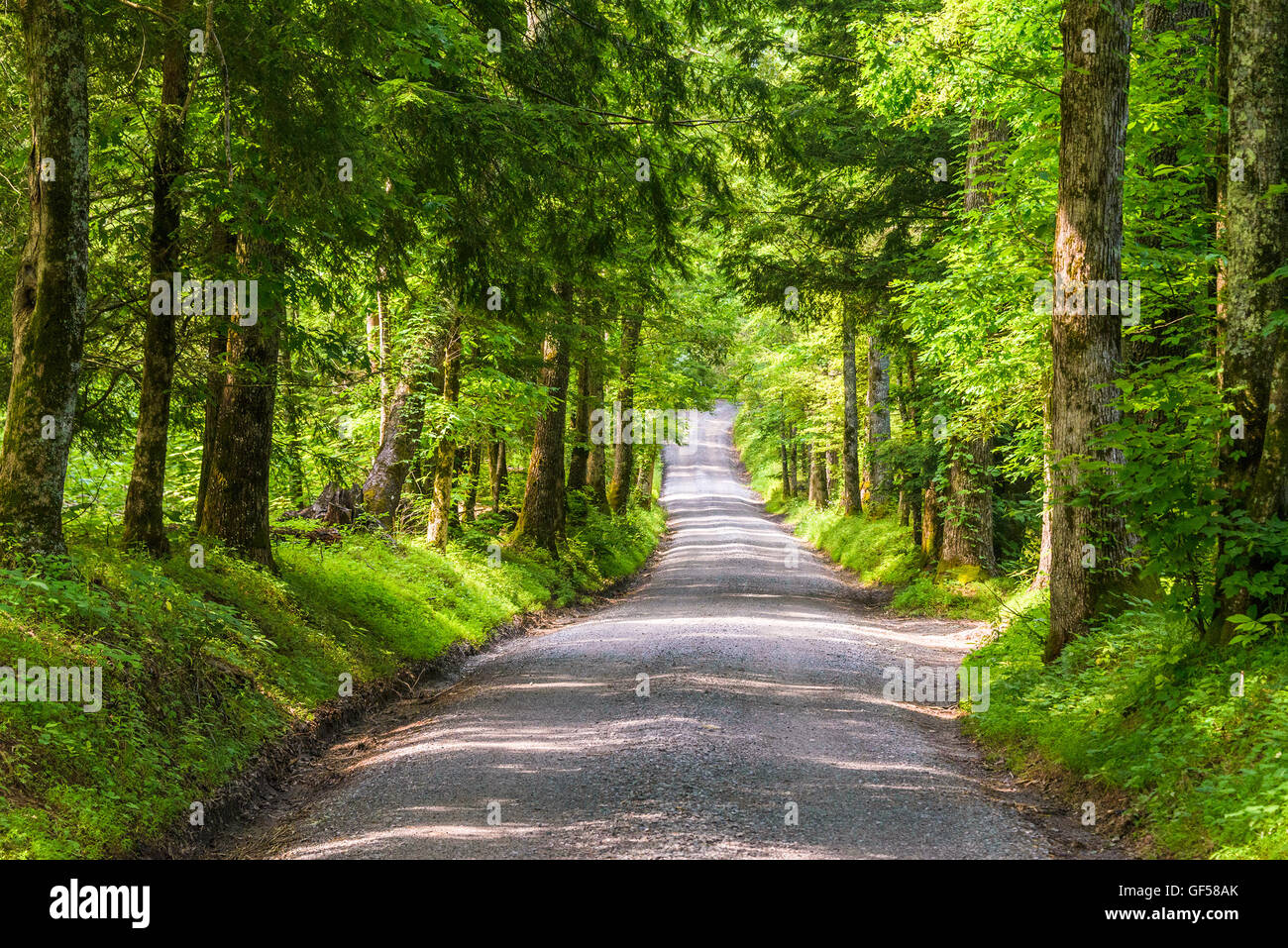 Smoky Mountains Landstraße. Stockfoto