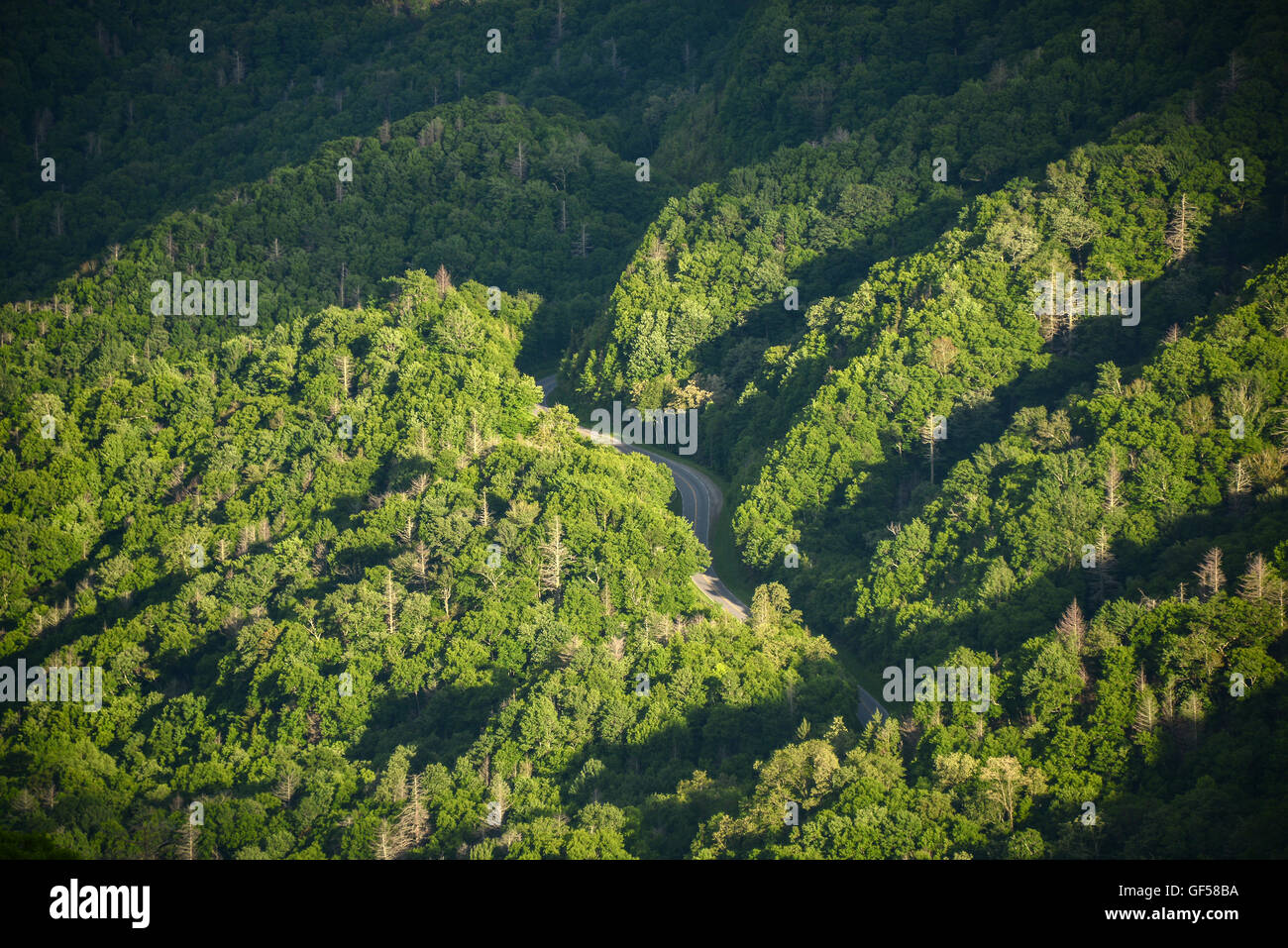 Newfound Gap in den Great Smoky Mountains. Stockfoto