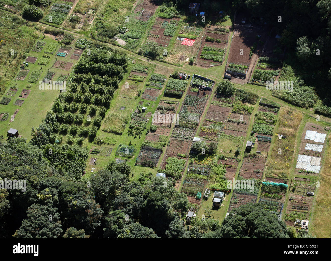 Luftaufnahme der Gärtner Schrebergärten, England, UK Stockfoto