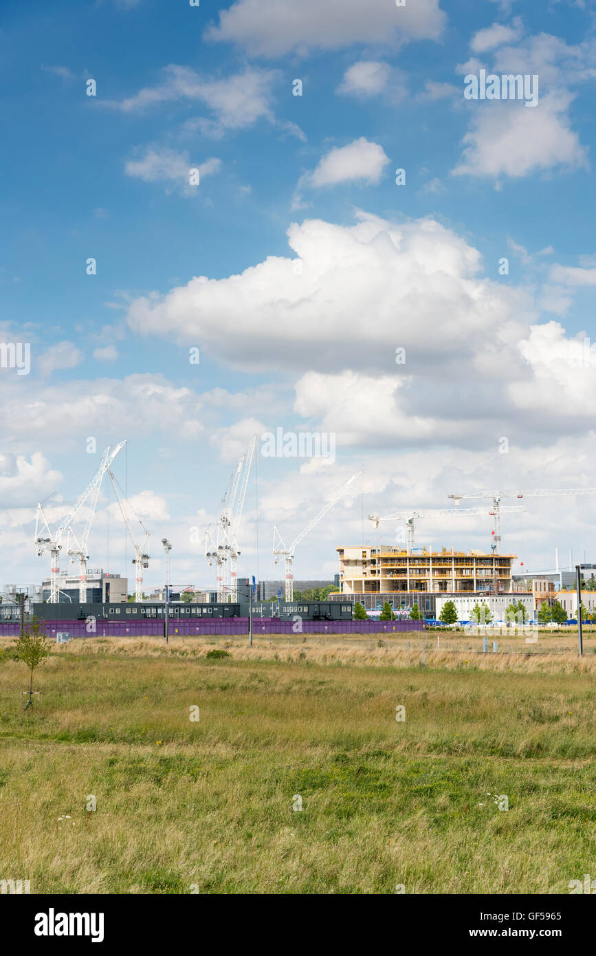 Die Baustelle am Addenbrookes Krankenhaus Standort Cambridge UK mit Kränen auf dem neuen Bio-medizinischen campus Stockfoto