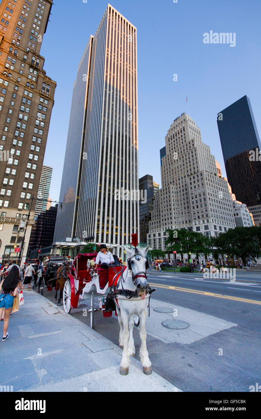 Central Park Pferd Kutschfahrten in Manhattan New York Stockfoto