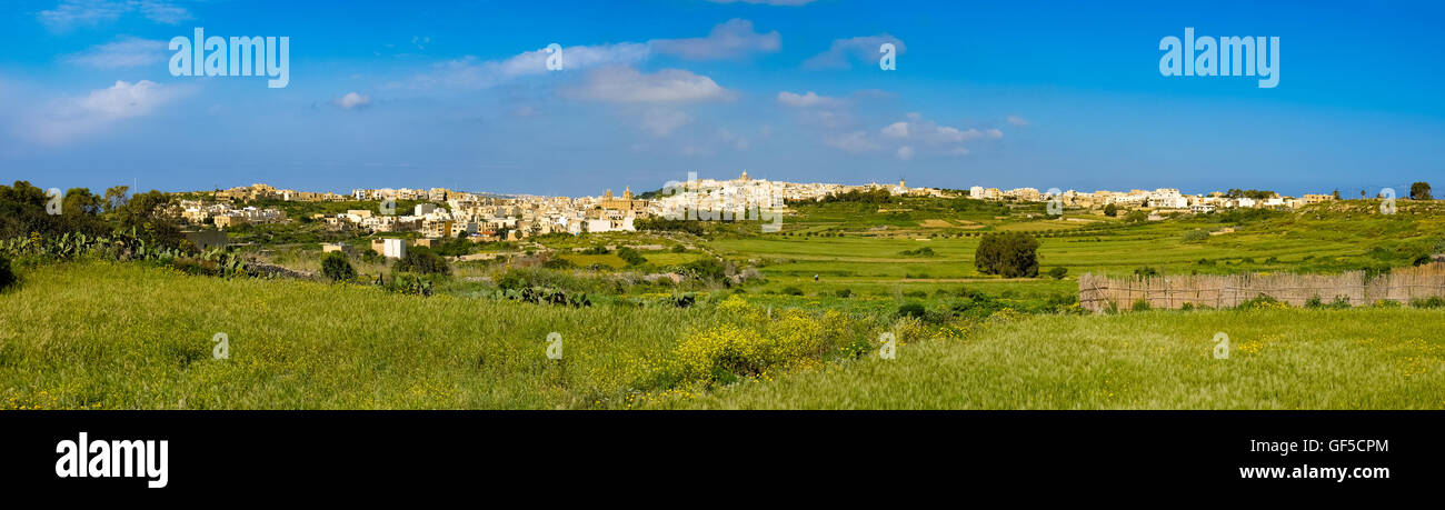 Panoramablick auf Mgarr Stadt mit grünen Wiese. Gozo, Malta Stockfoto