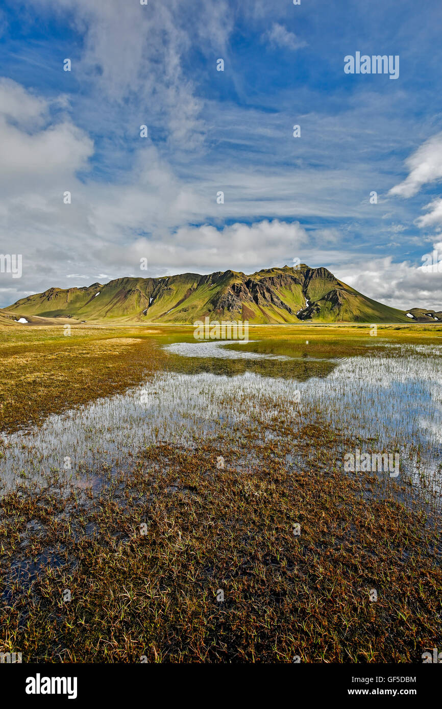 Berg spiegelt sich im Teich, Landmannalaugar, Fjallabak Naturschutzgebiet, Island Stockfoto