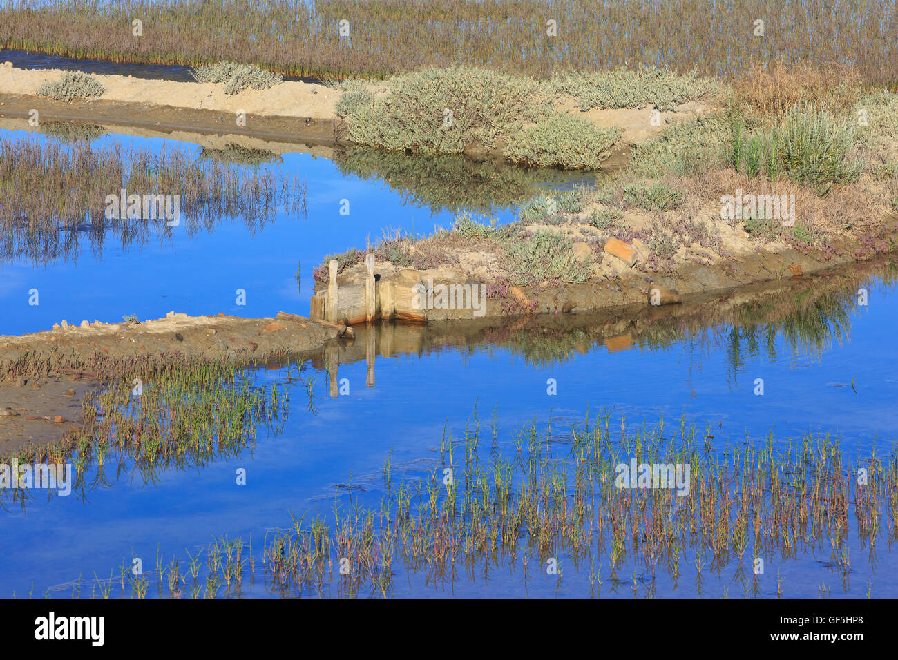 Die Salinen von Secovlje, Teil des Landschaftsparks Secovlje Salina in Secovlje, Slowenien Stockfoto