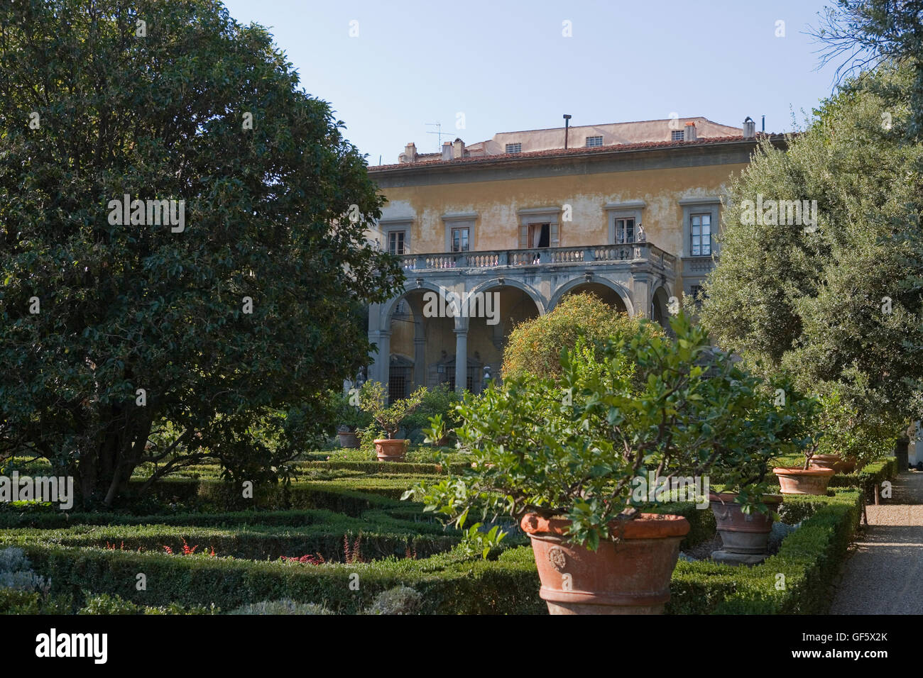 Giardino Corsini al Prato, Florenz, Italien: Blick auf den Palast über den Buchsbäumen hedging und Zitrone Stockfoto