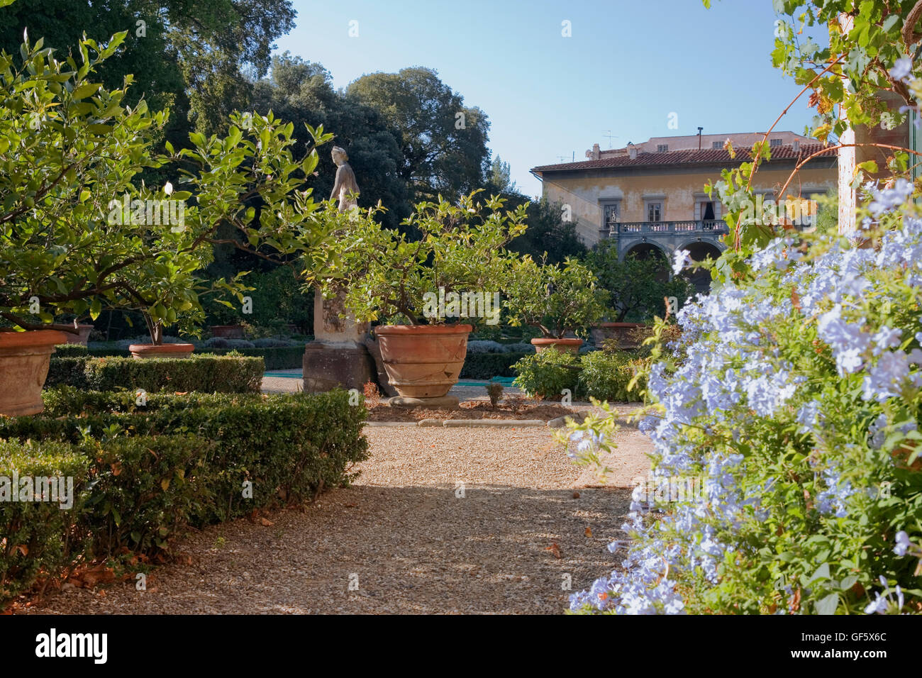 Giardino Corsini al Prato, Florenz, Italien: Blick auf den Palast, mit Box Absicherung, Zitronen Bäume und Statuen Stockfoto