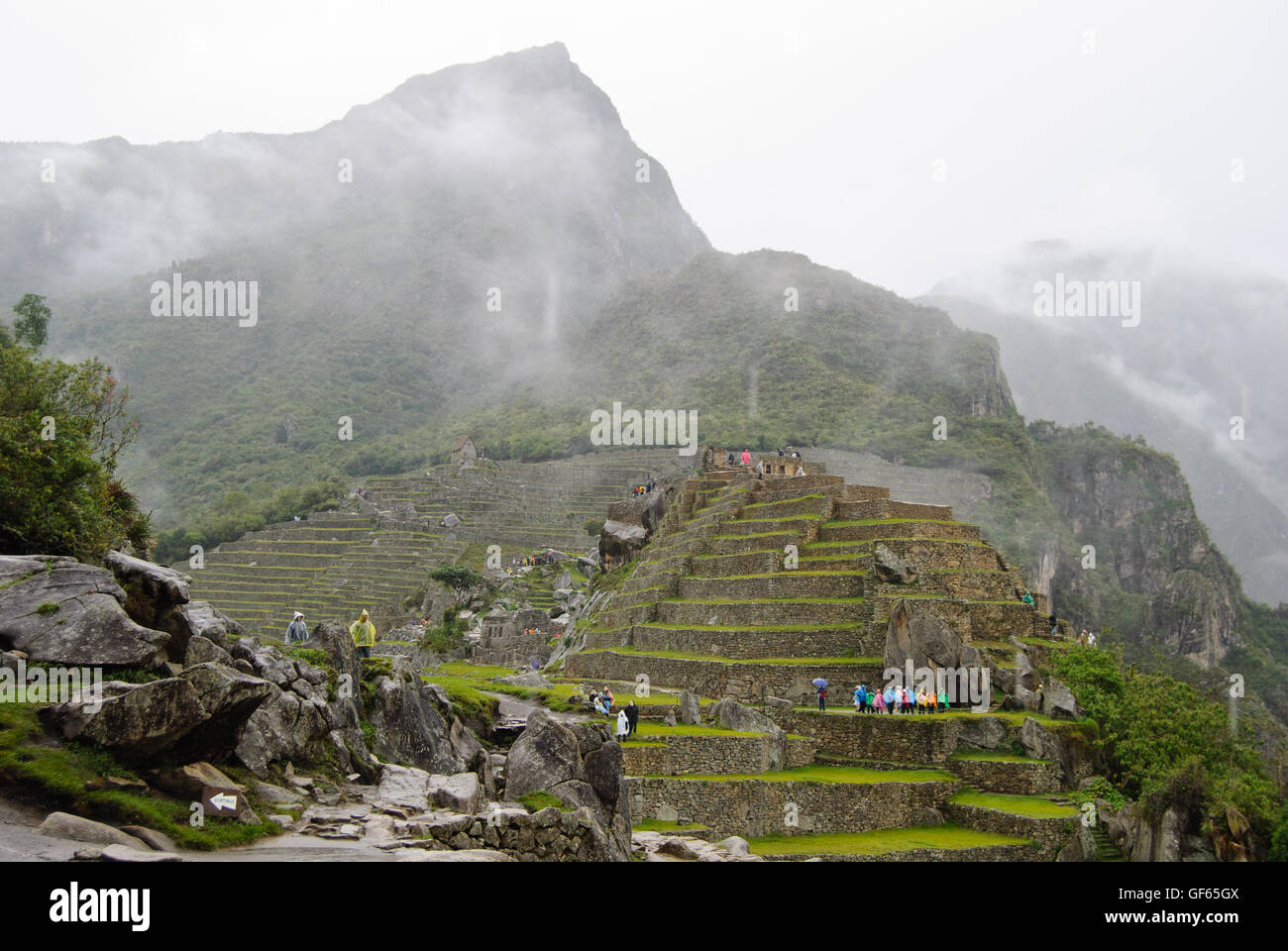 Die Terrassen von Machu Picchu im Nebel. Stockfoto
