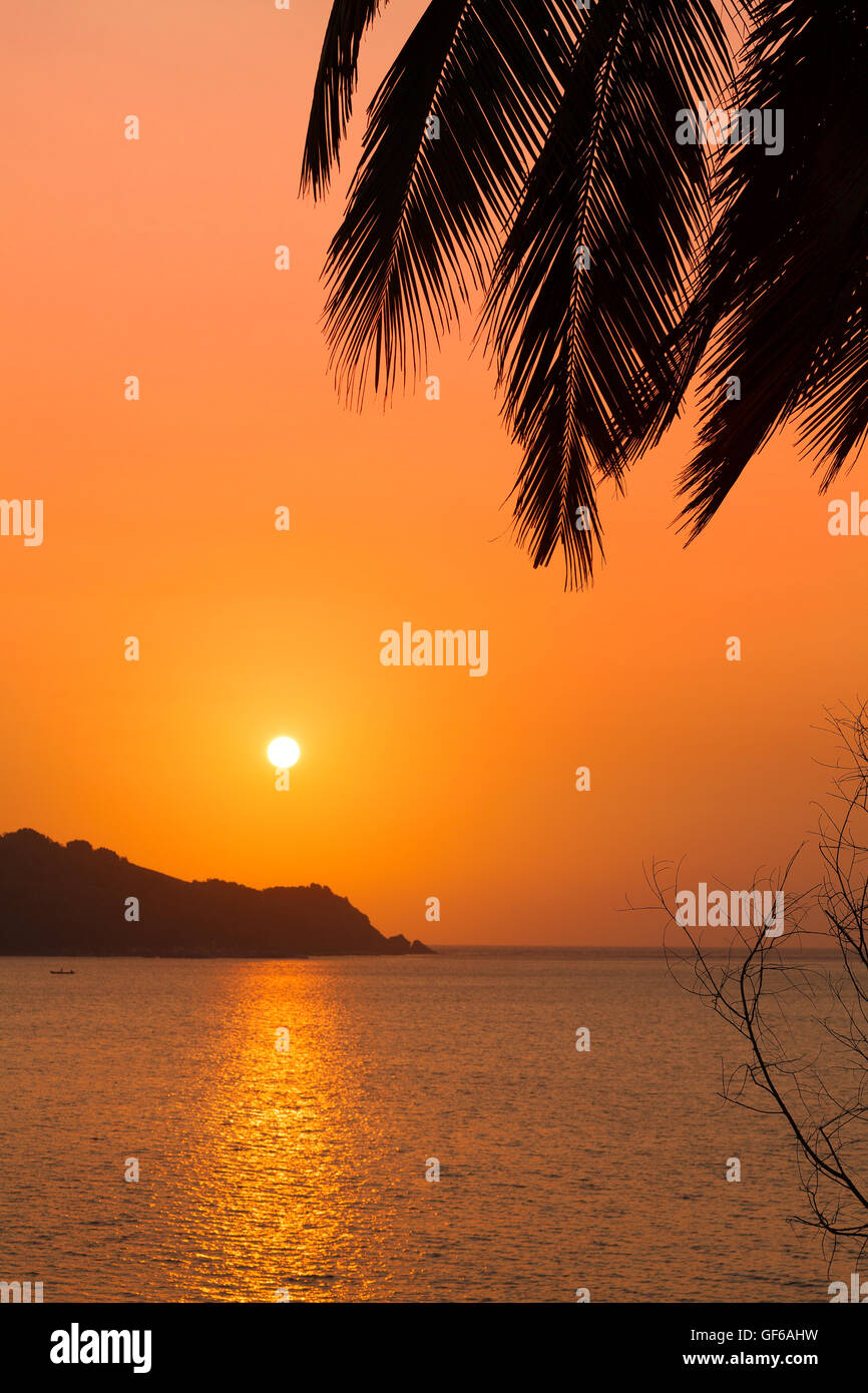 Palmblätter Goa Sonnenuntergang Landschaft Stockfoto