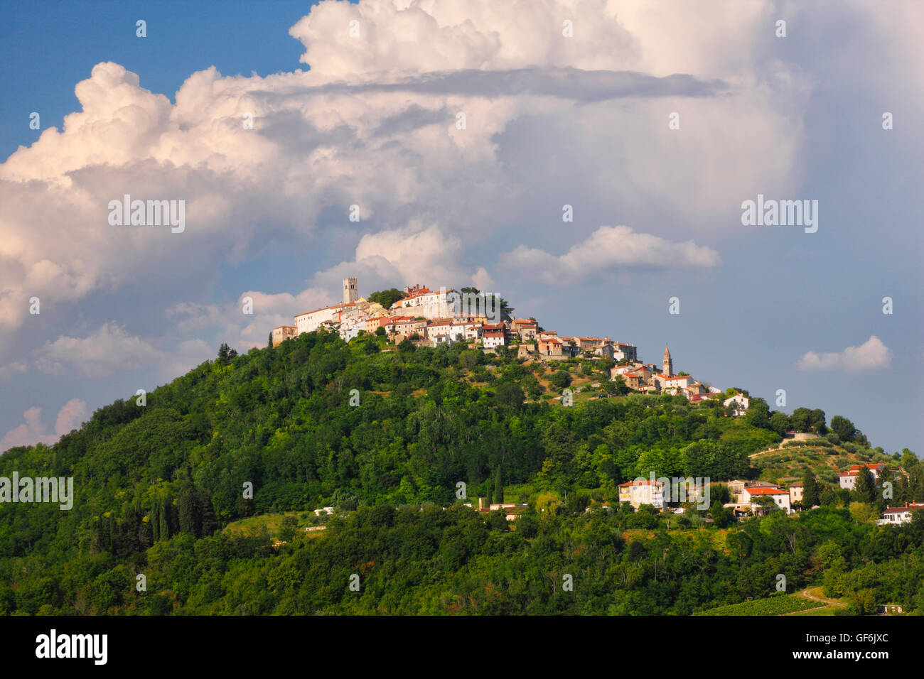 Motovun auf dem Hügel, Kroatien Stockfoto